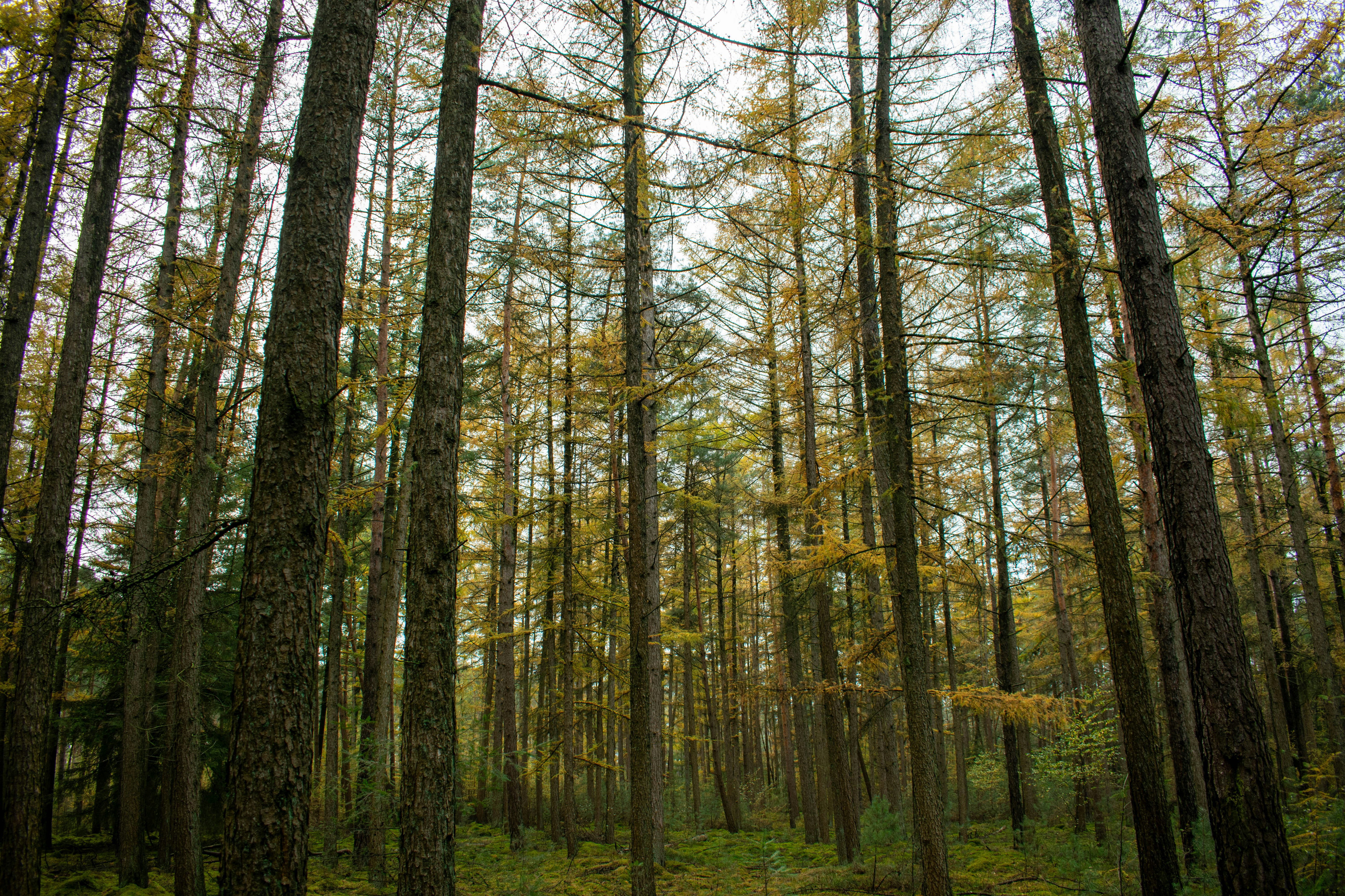 Photo by tea_in_deventer