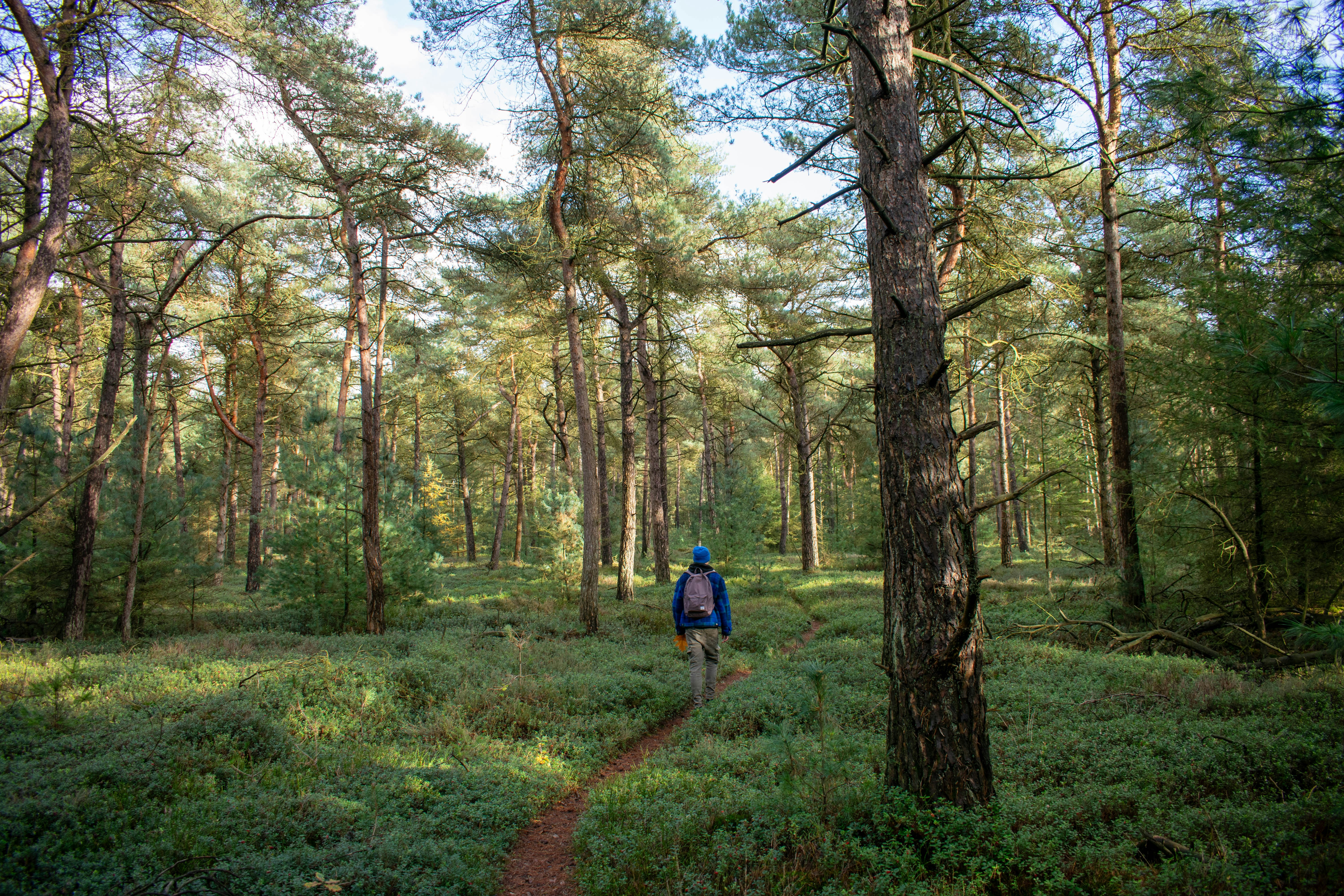 Photo by tea_in_deventer