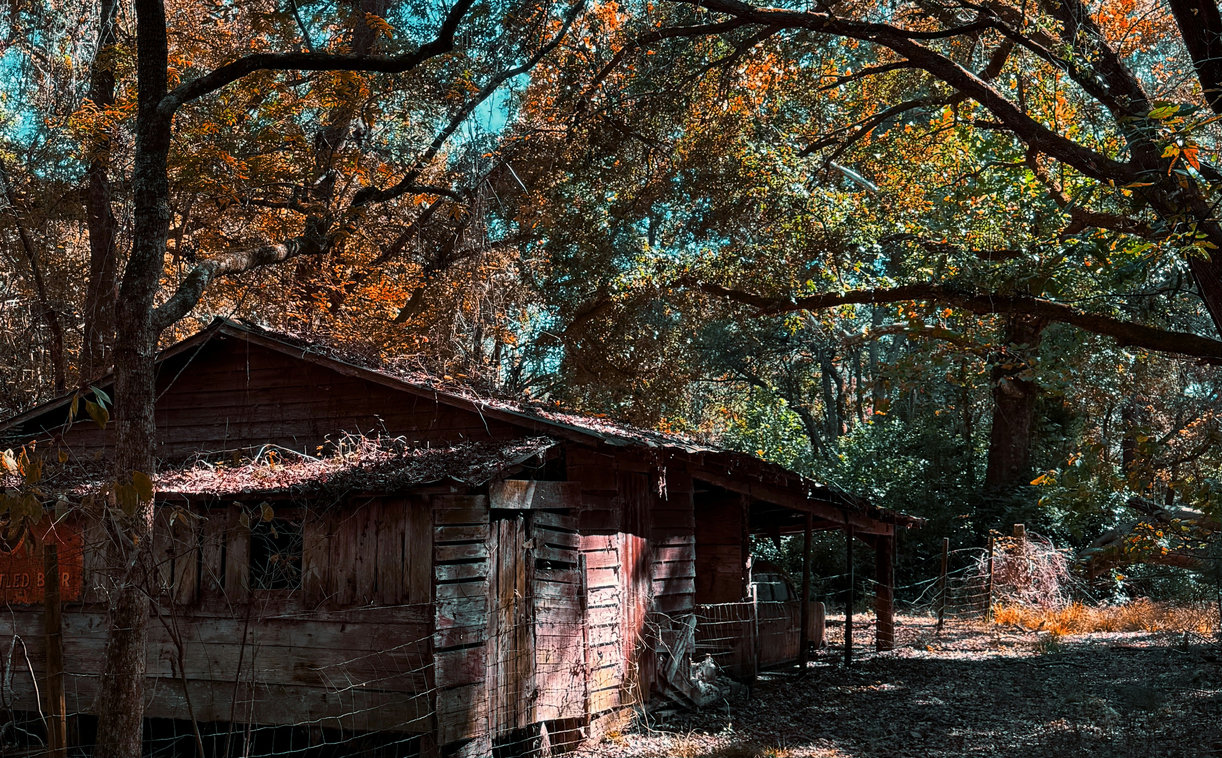 Photo by chadnathan