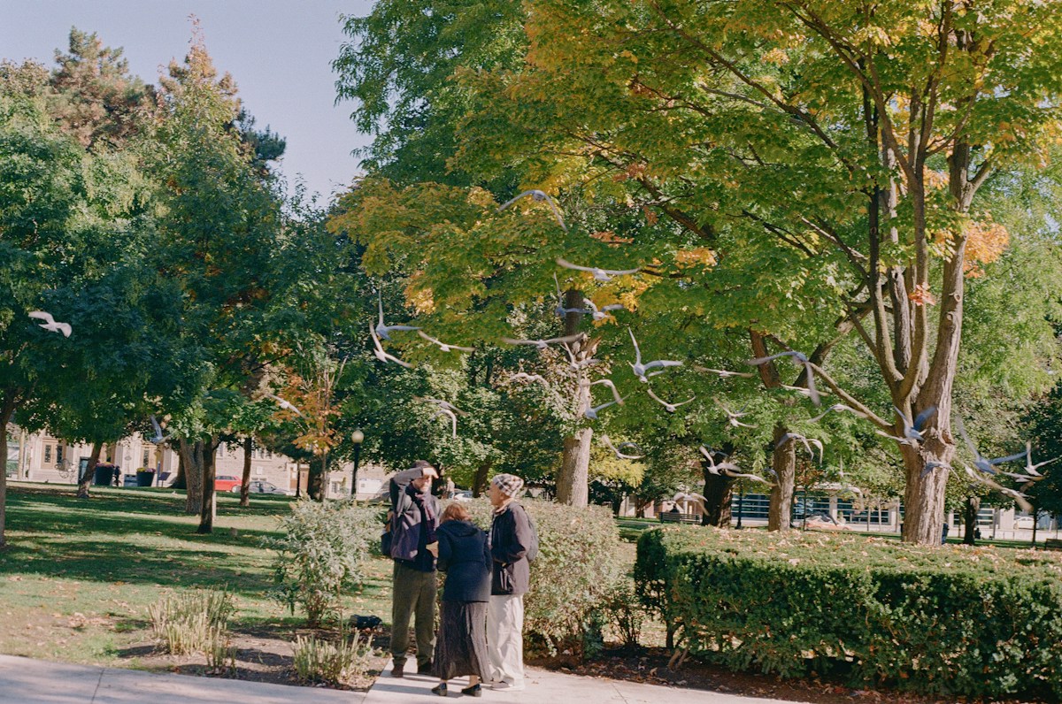 People volunteering in a park with autumn trees, participating in an MLK day of service community project.