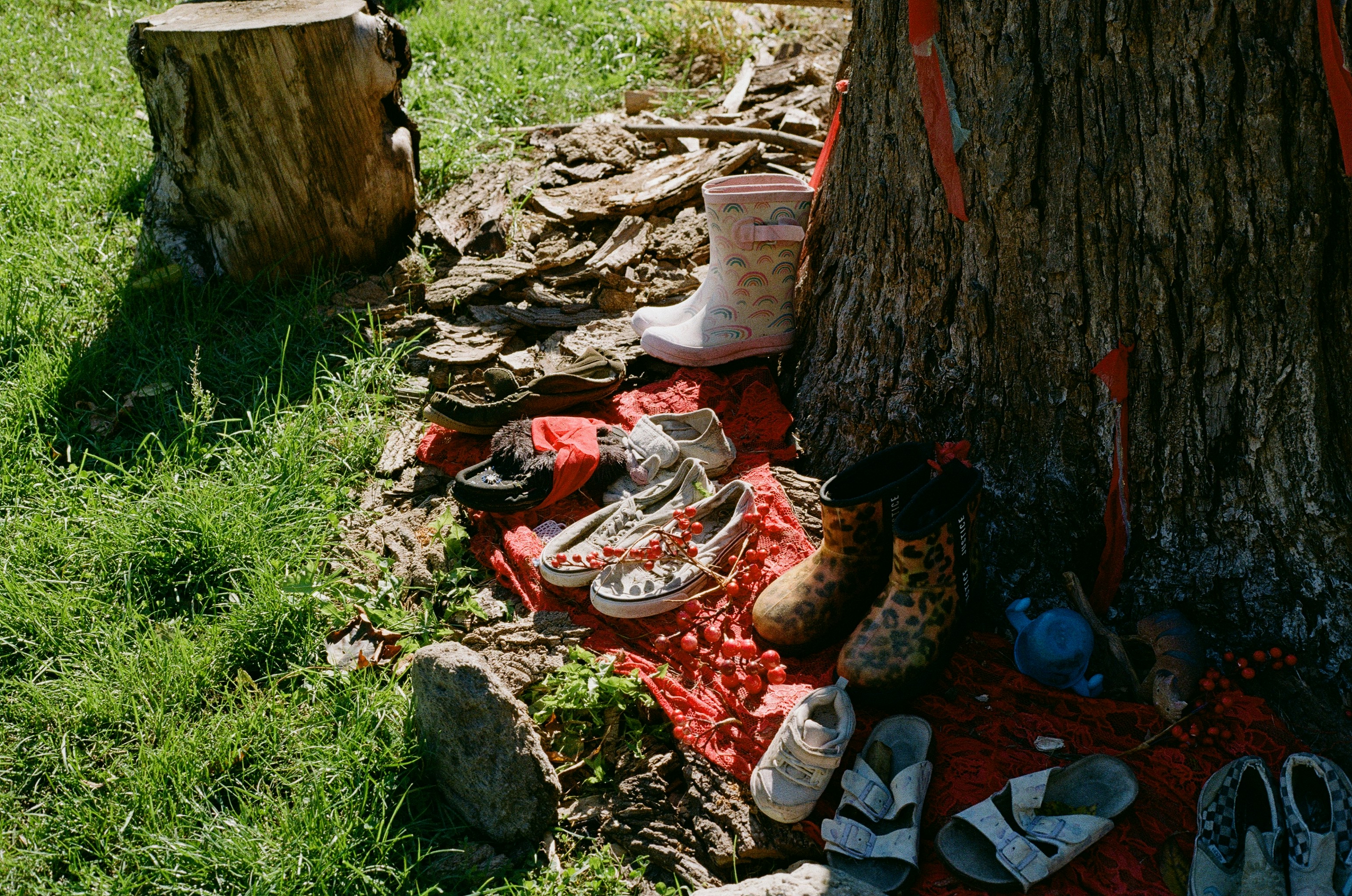 Various shoes and boots gathered around a tree base.