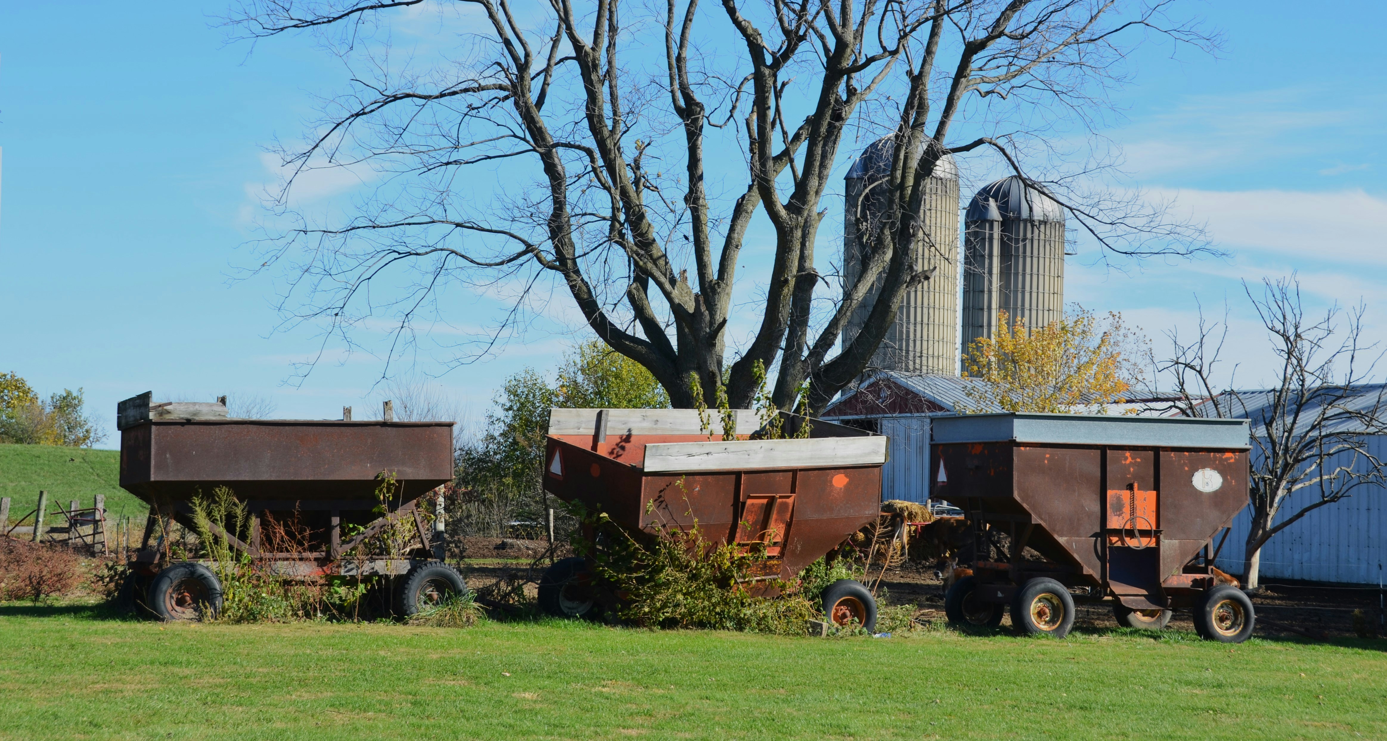 Three rusty farm wagons in a grassy field.