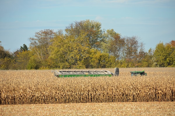 Harvest and agricultural sourcing for export