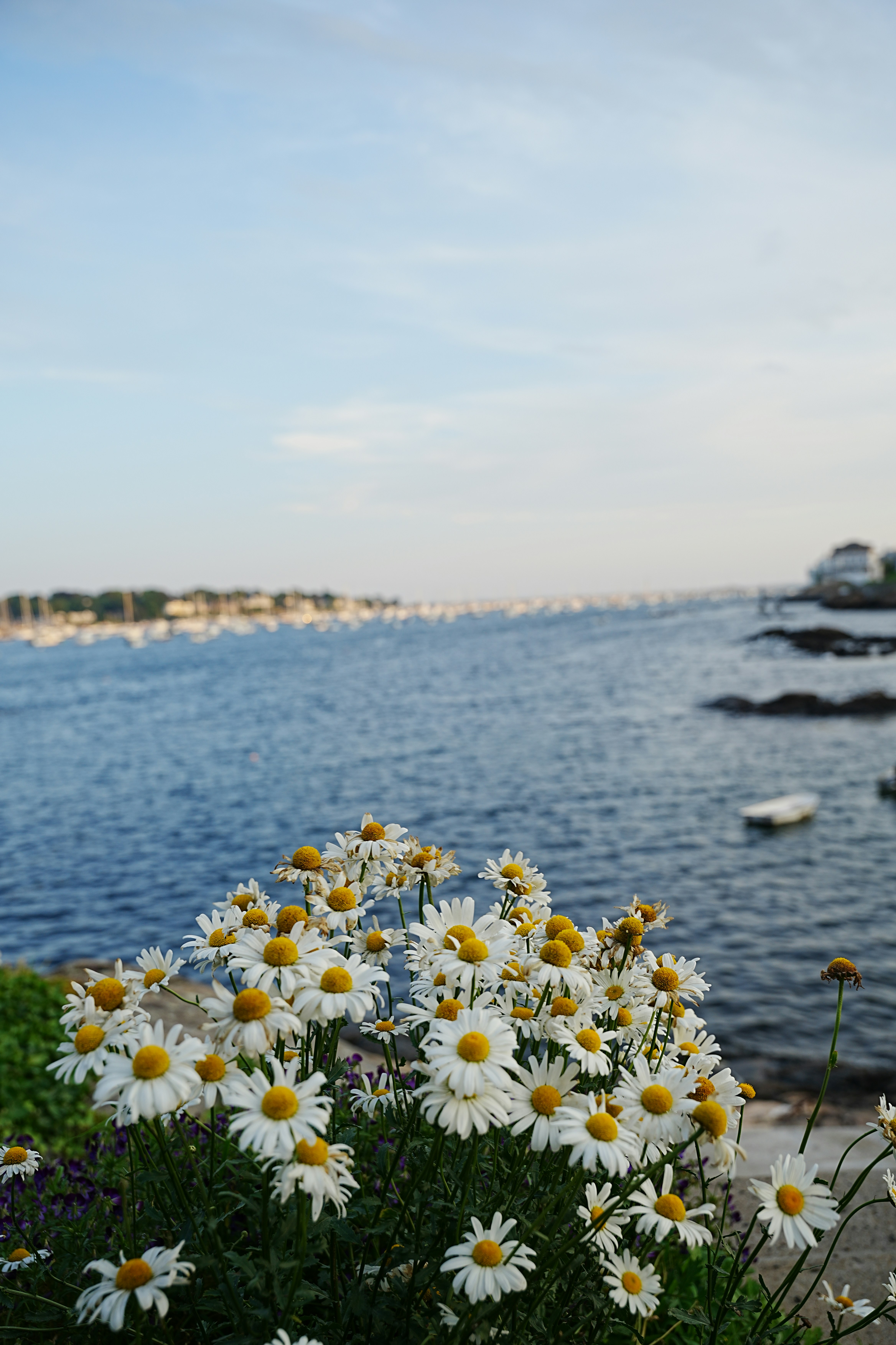 Sam Snith (@samsmith617) | Unsplash Photo Community