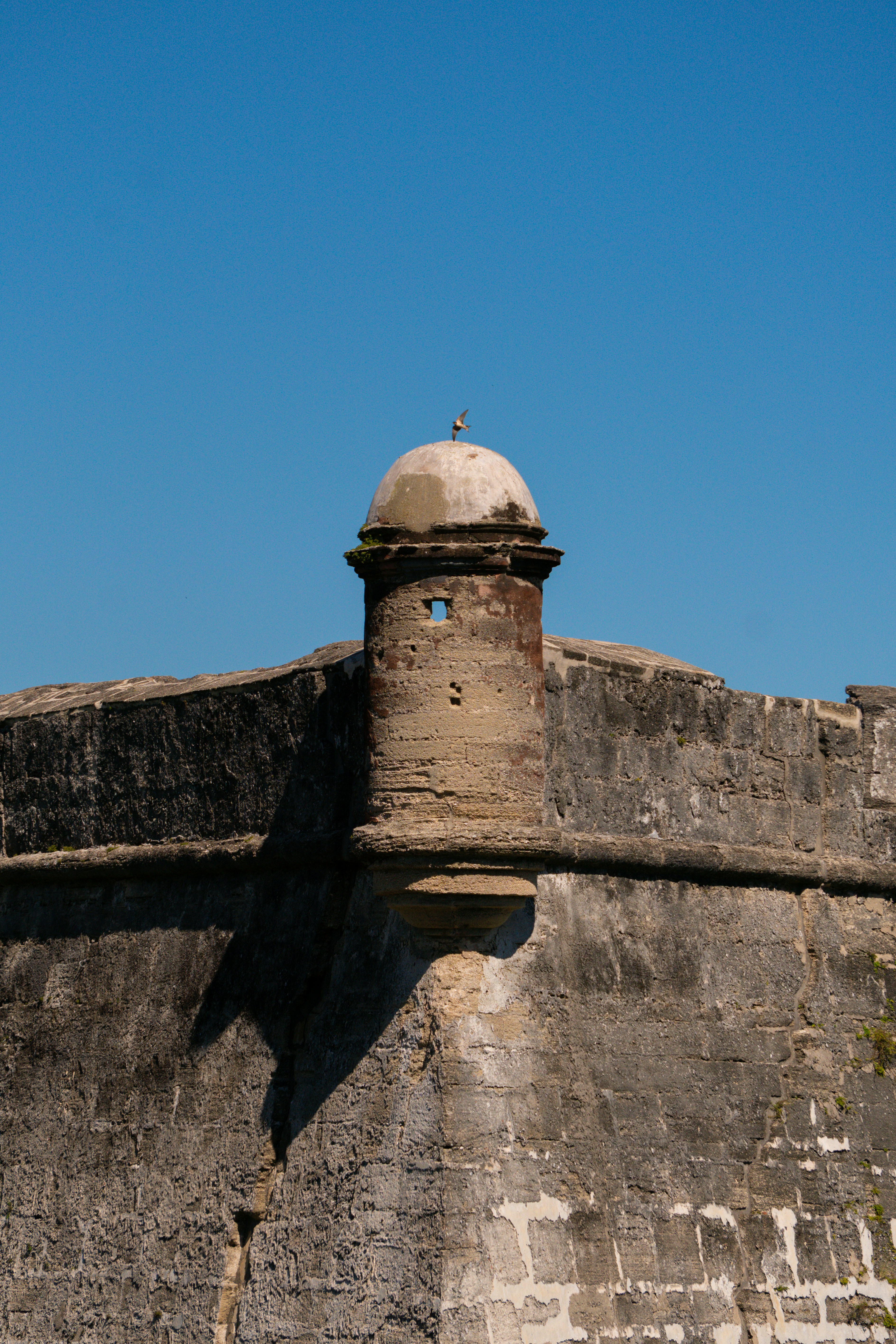 Photo by angelicateranp