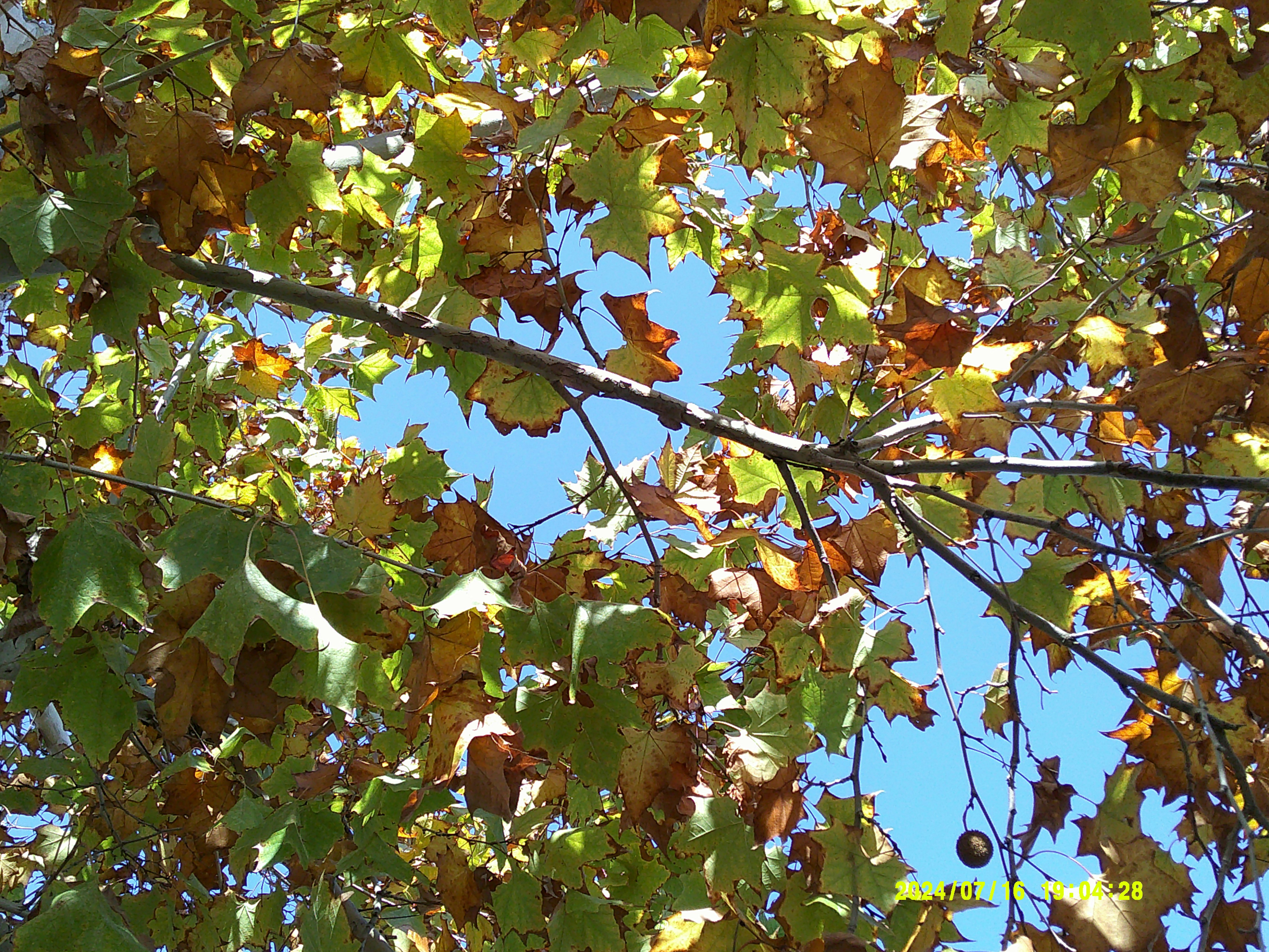 Photo by cryingmilkshake