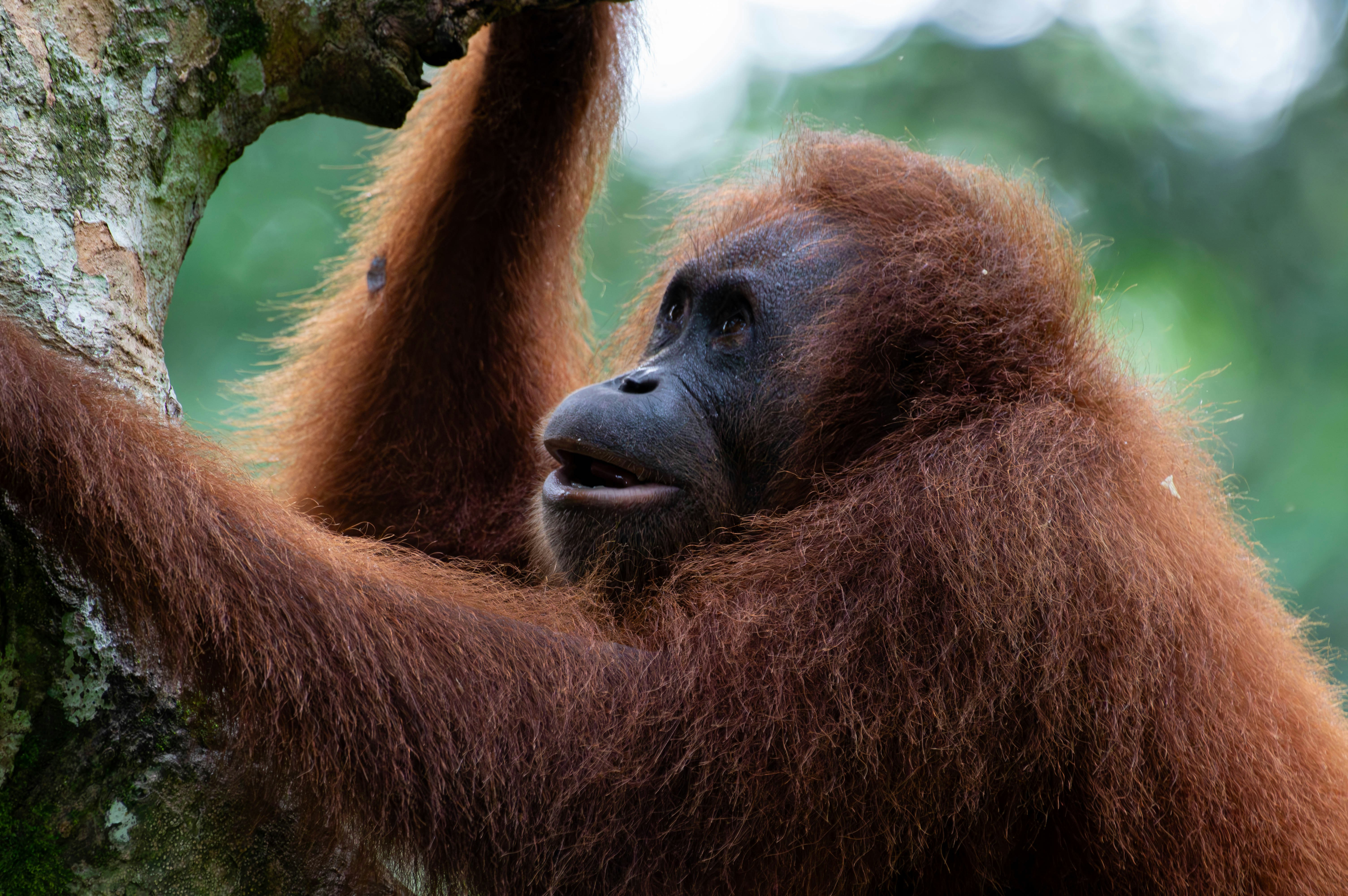 Photo by krishavigna