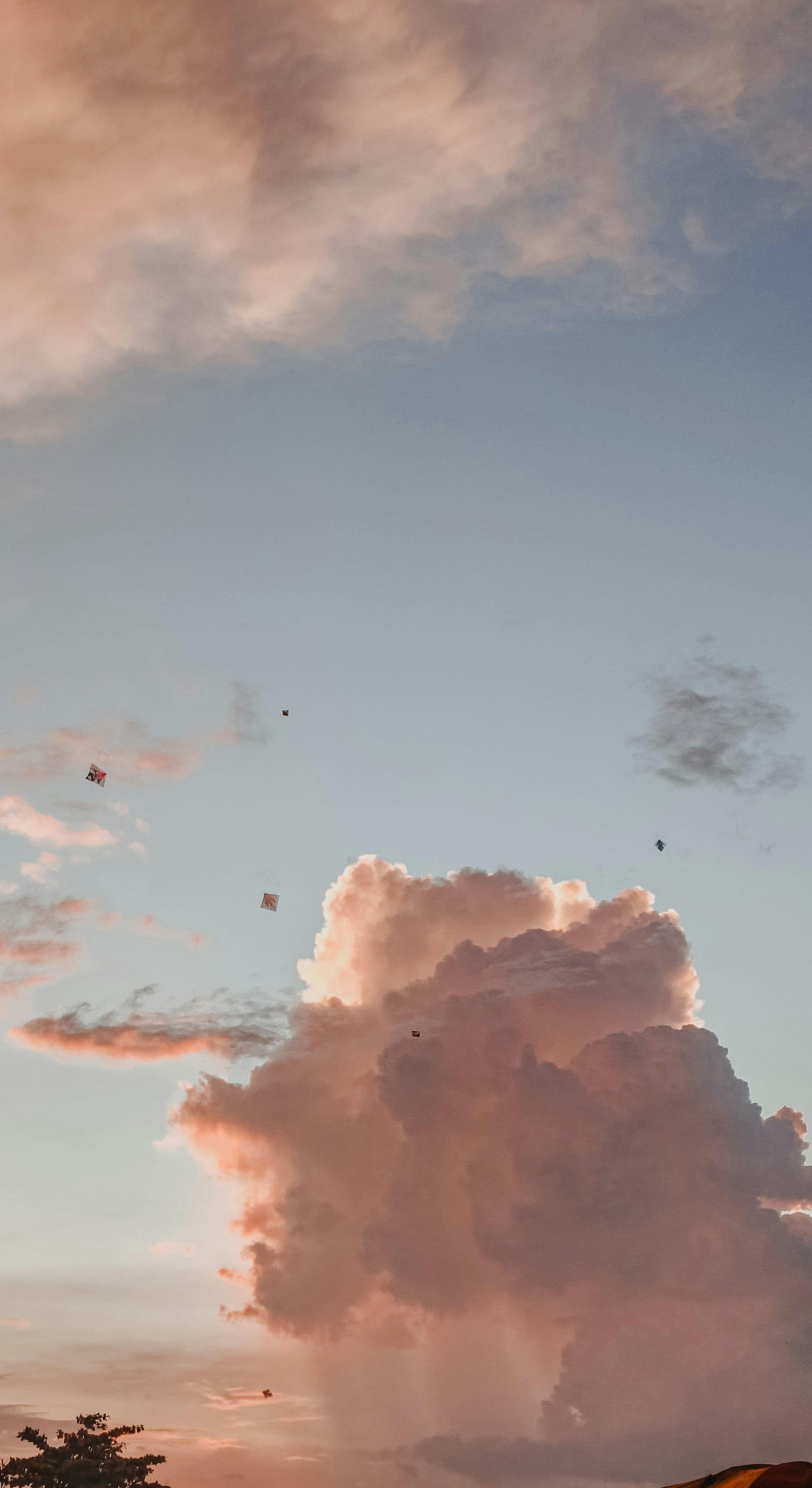 Pink clouds float in a pale blue sky.