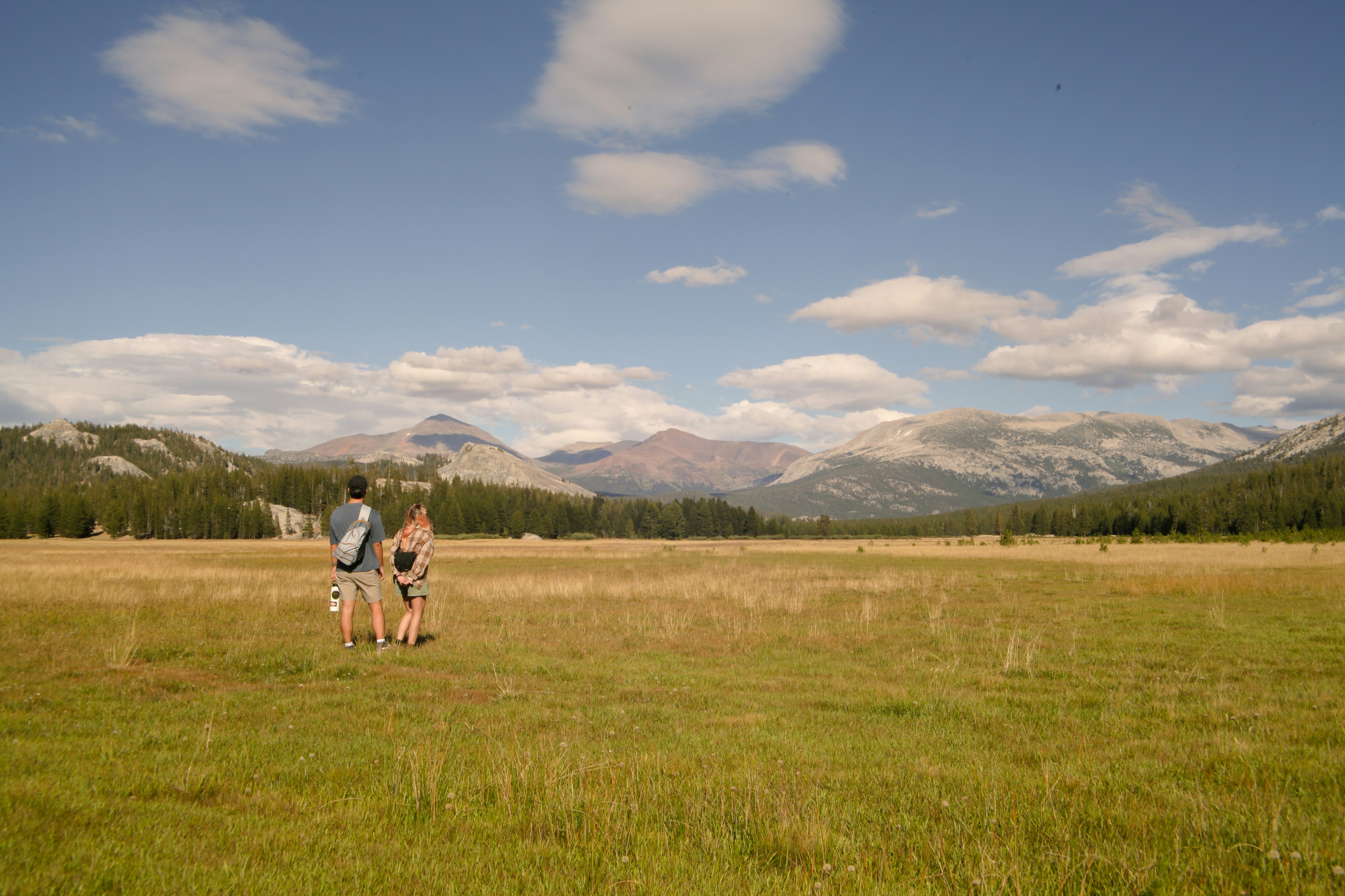 Zwei Personen gehen über eine grasbewachsene Wiese in Richtung Berge.
