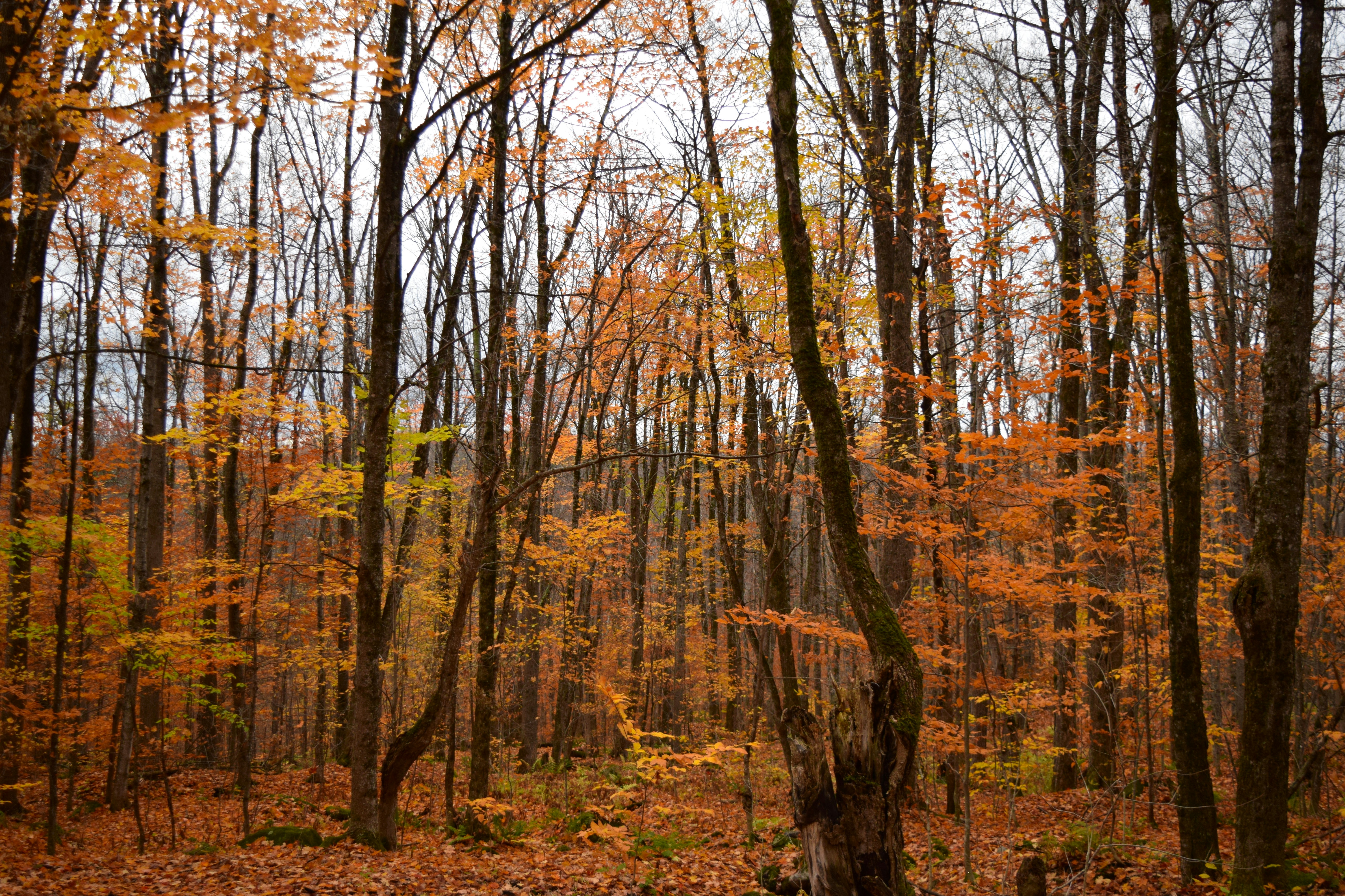 Photo by quillofspirit