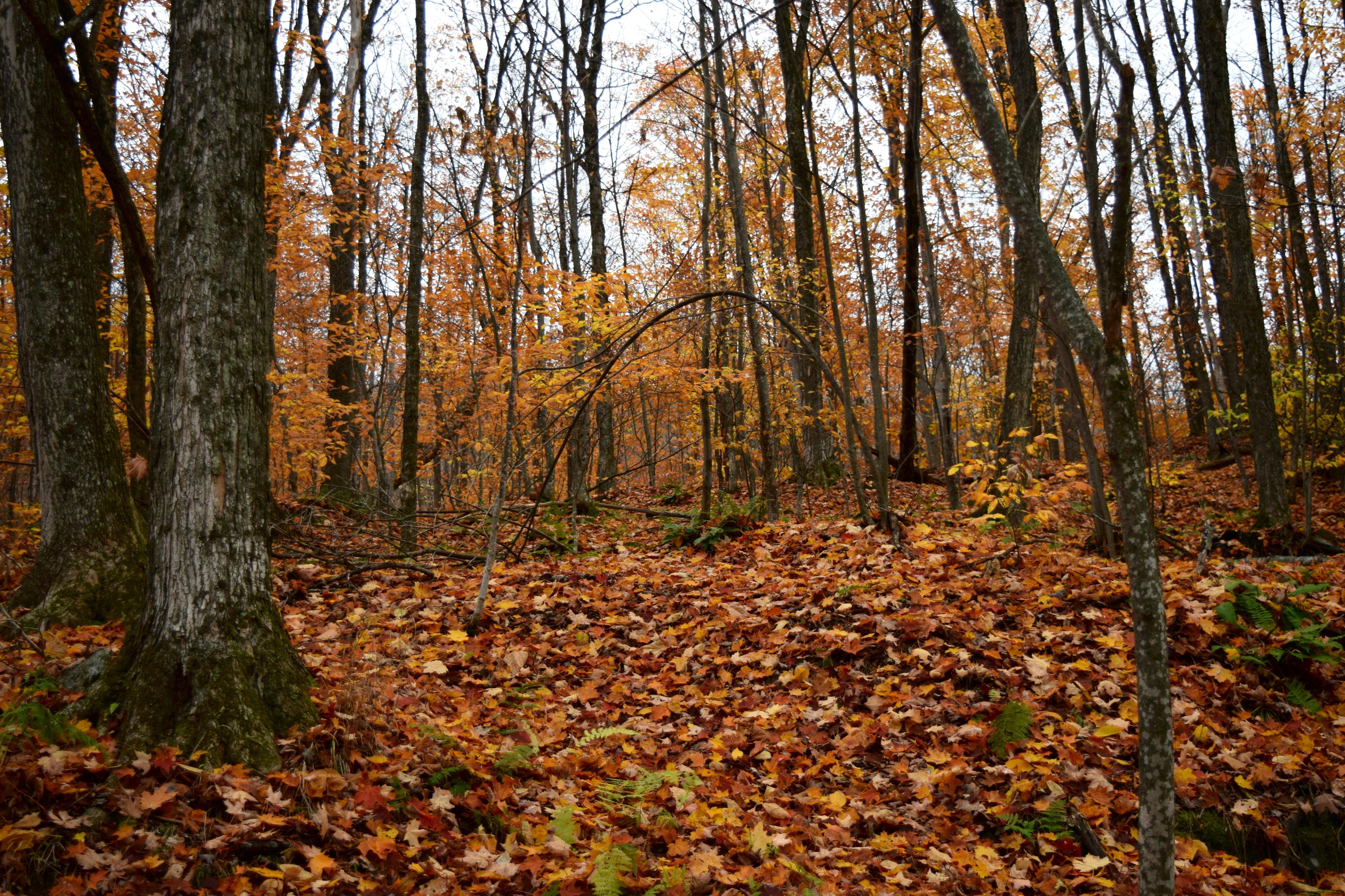 Photo by quillofspirit