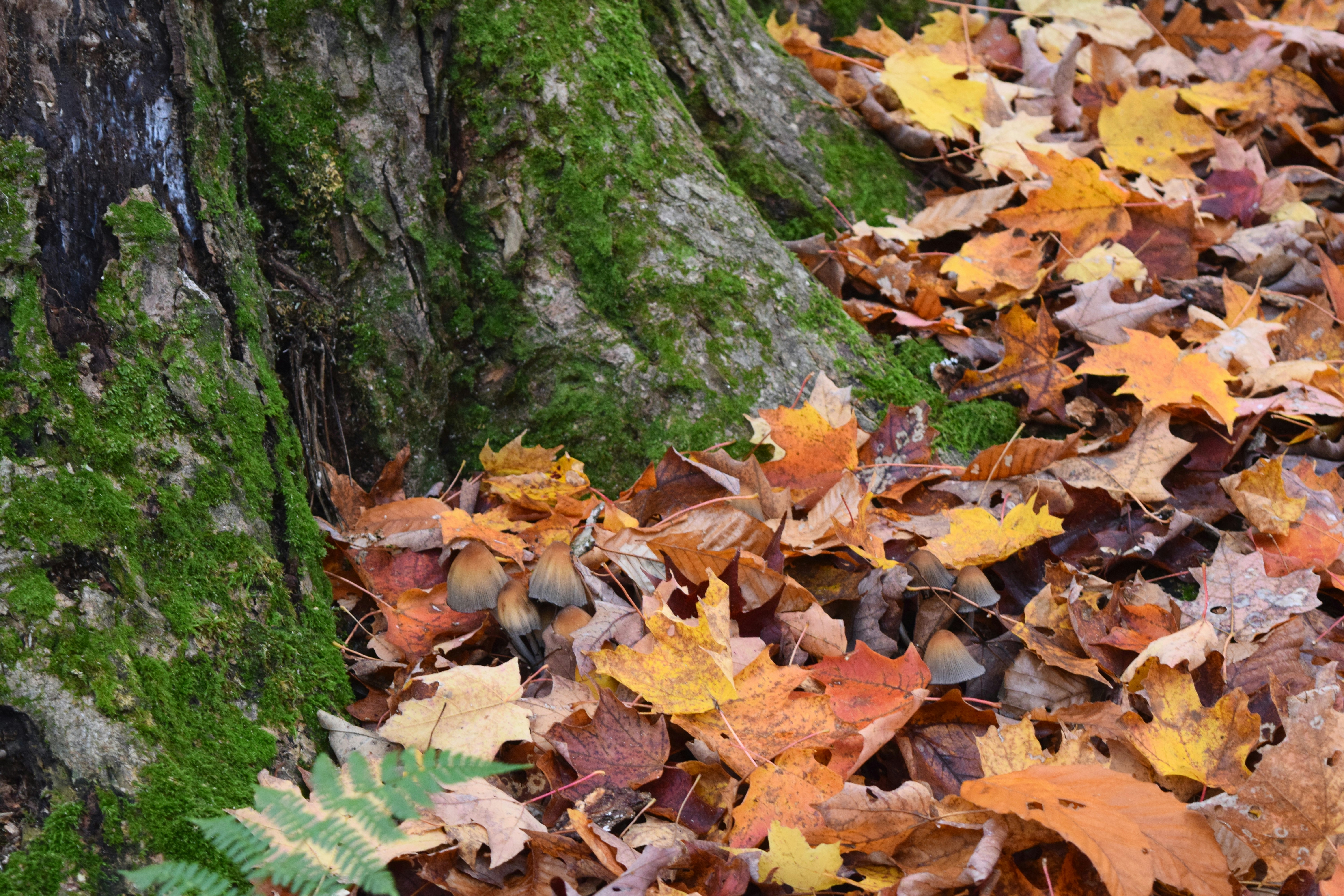 Photo by quillofspirit