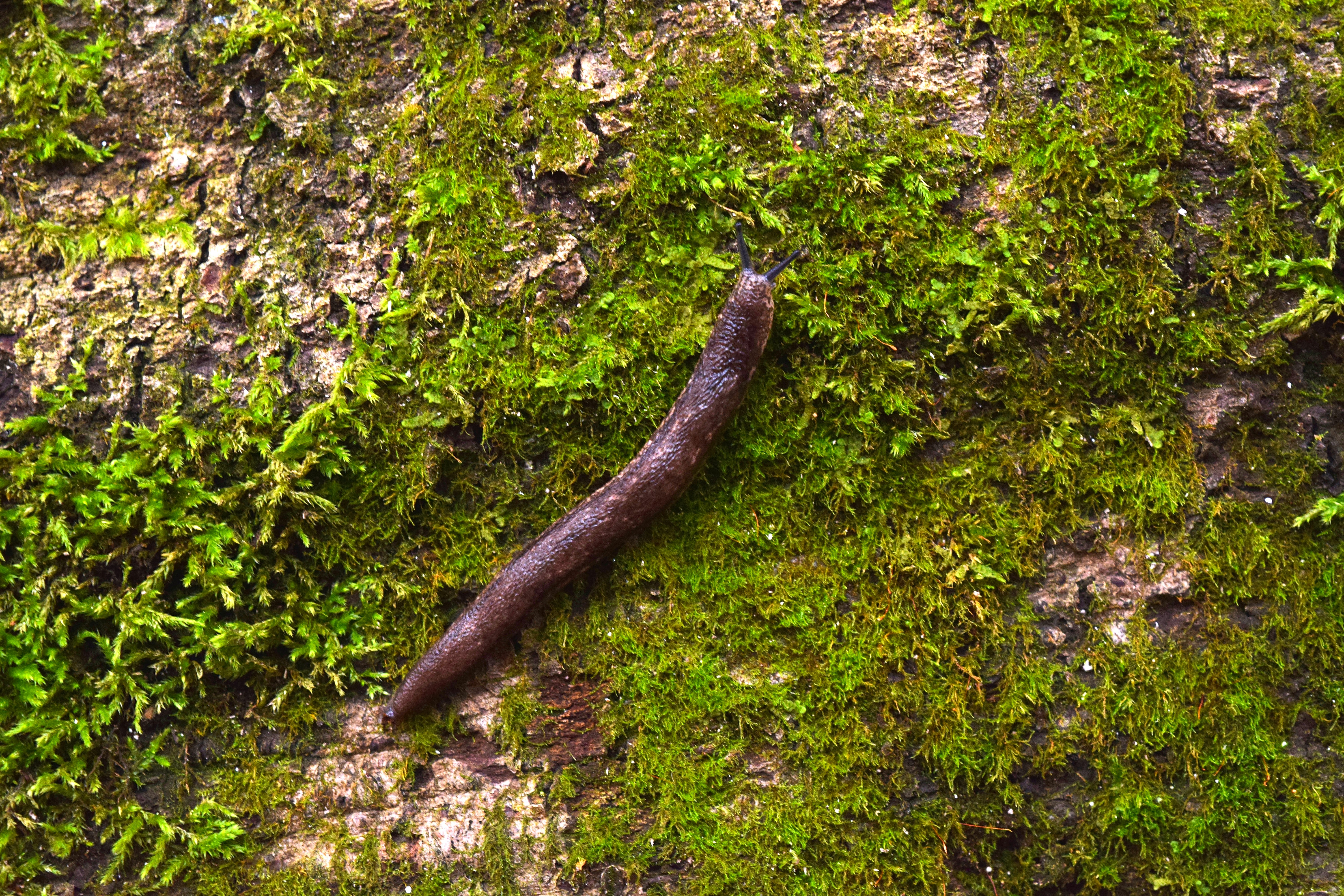 Photo by quillofspirit