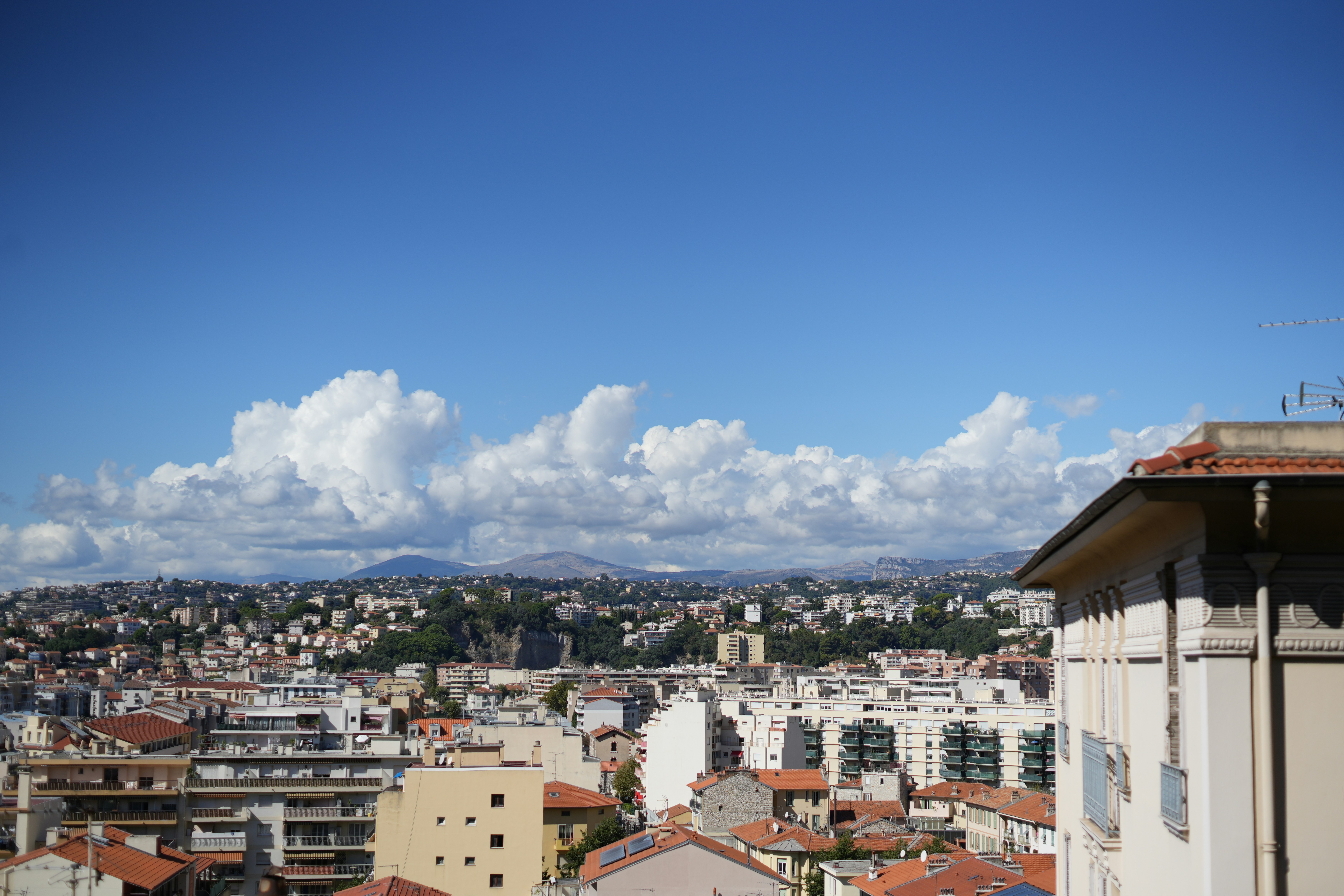 Quartier Notre Dame du Mont Marseille villas jardins investissement immobilier