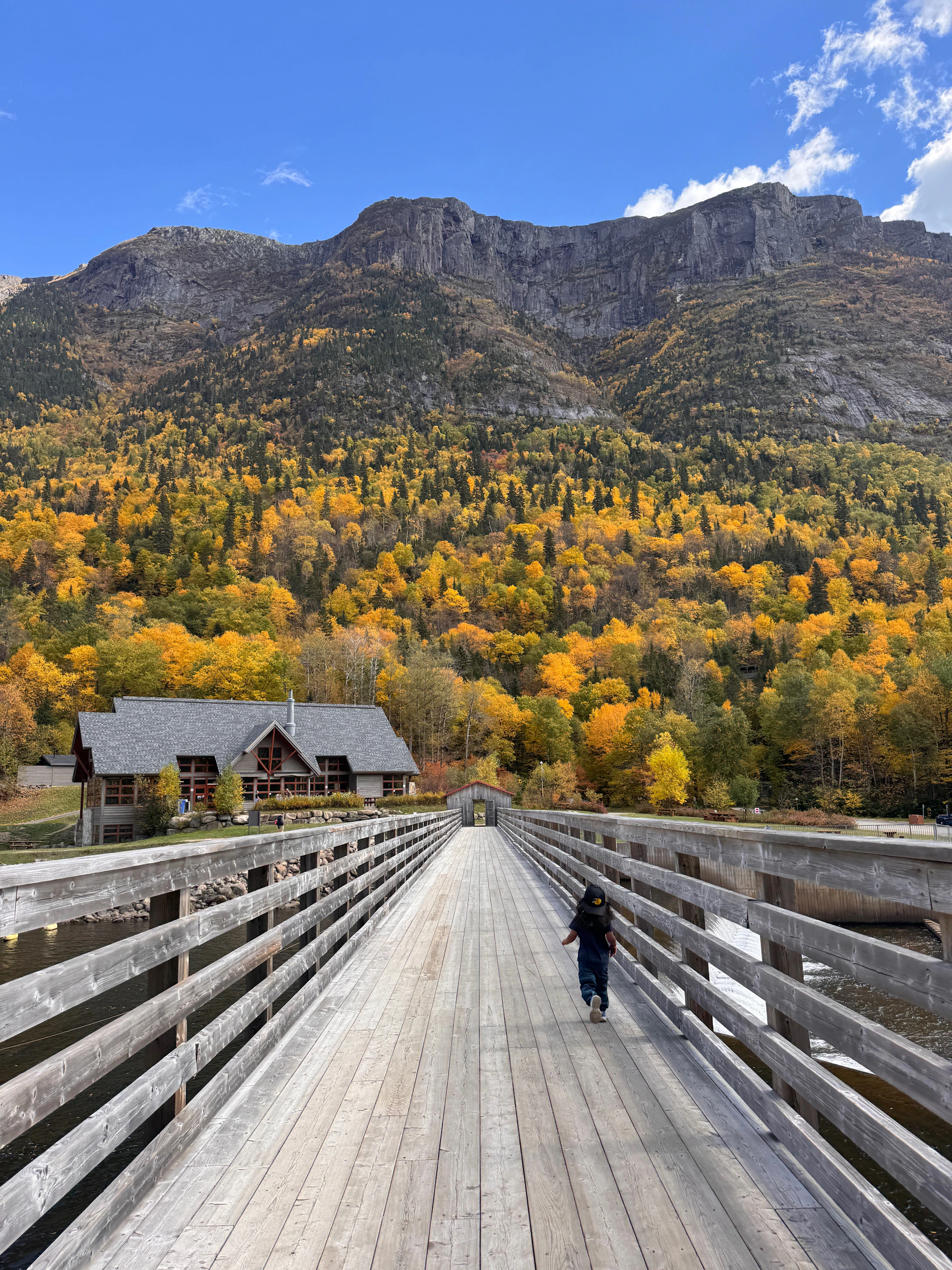 Wooden bridge leads to autumn forest and mountain.