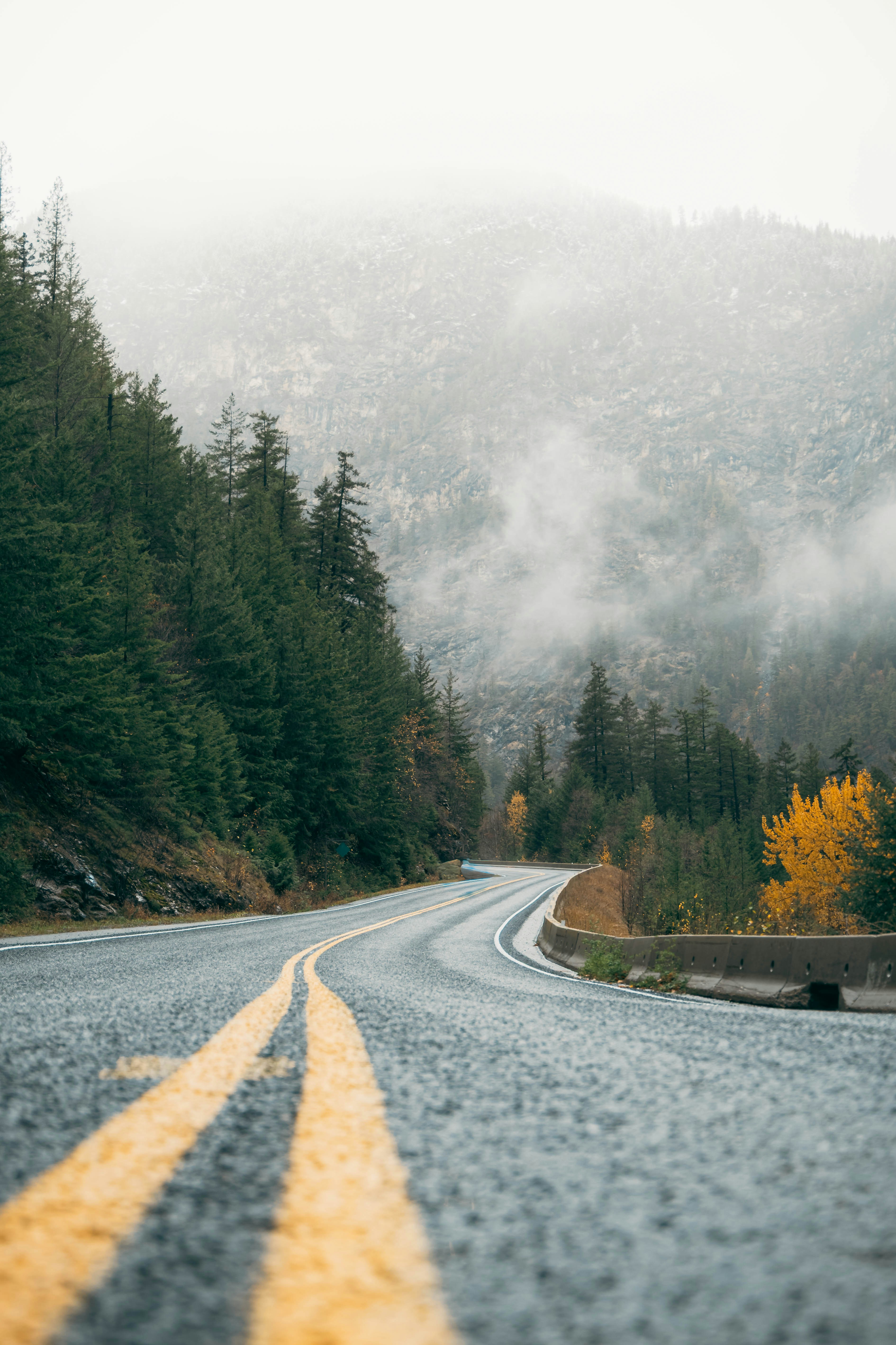 Photo by carbonmonoxide