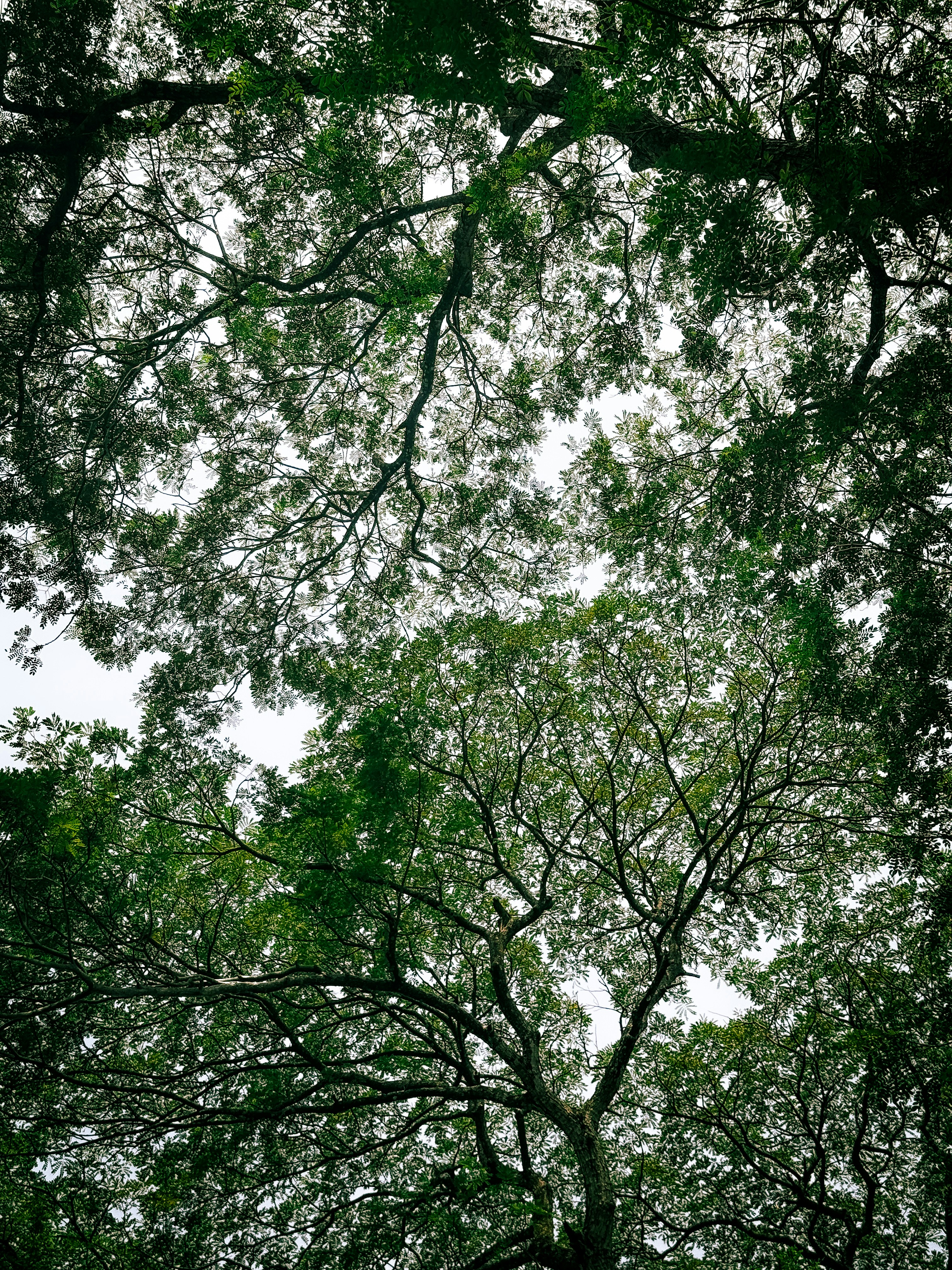 Photo by illusionxavi