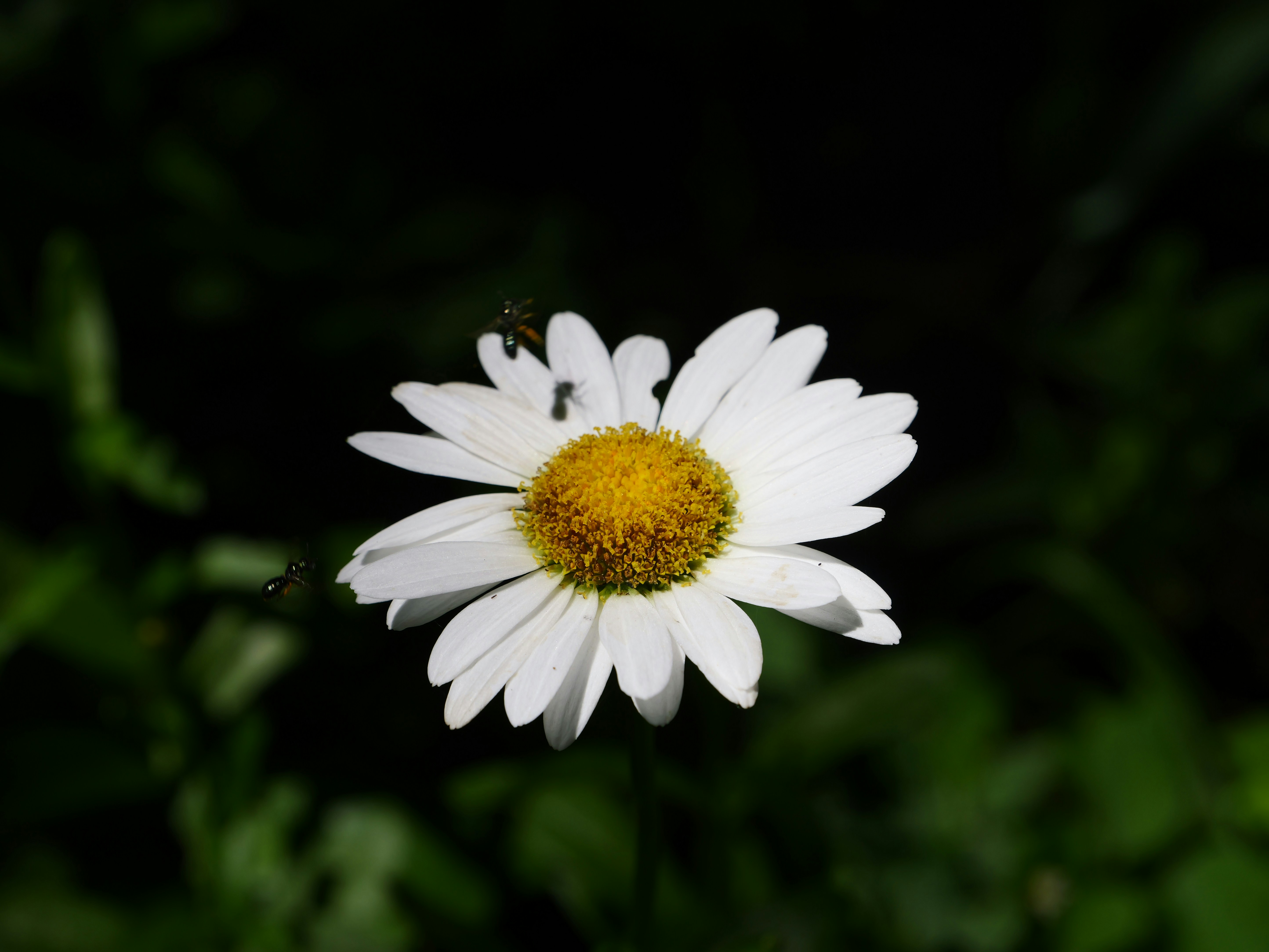 Photo by karonthompson