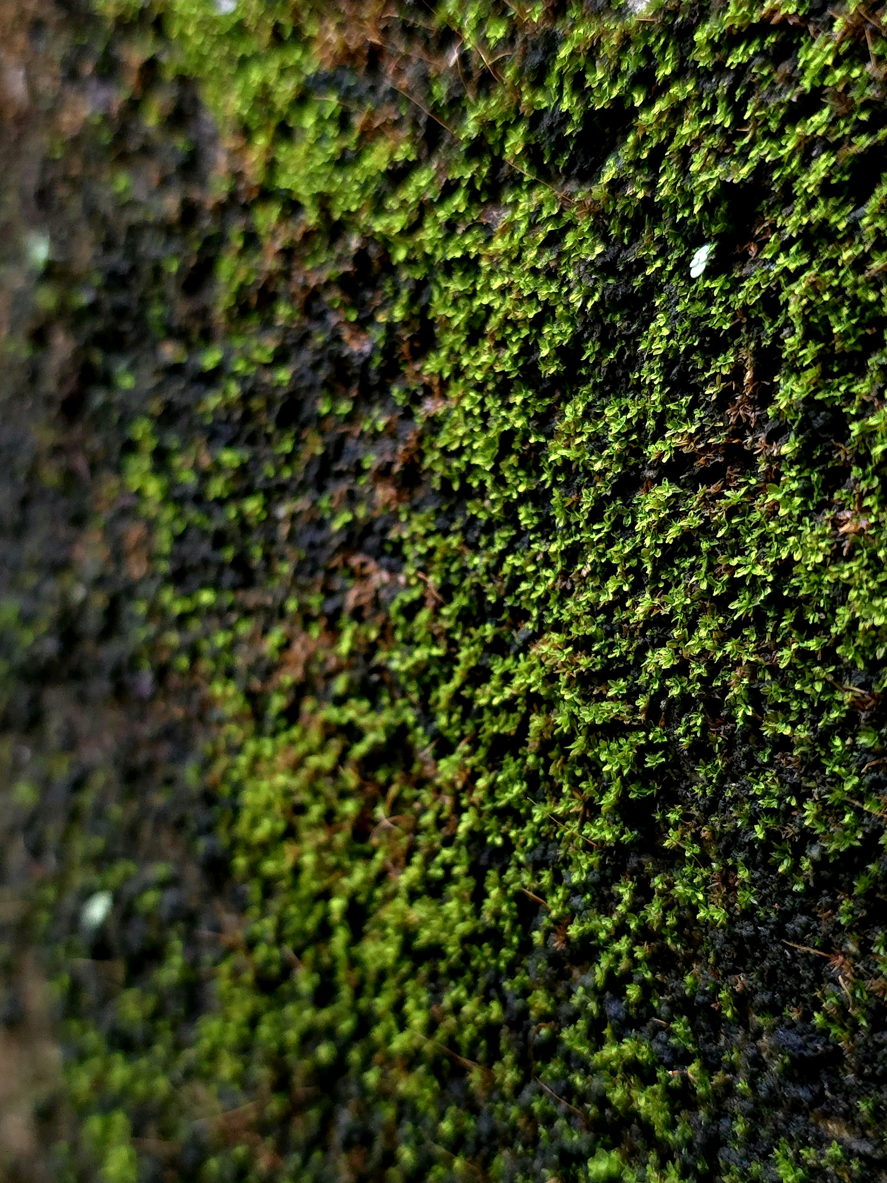 Photo by meanwhile_estela