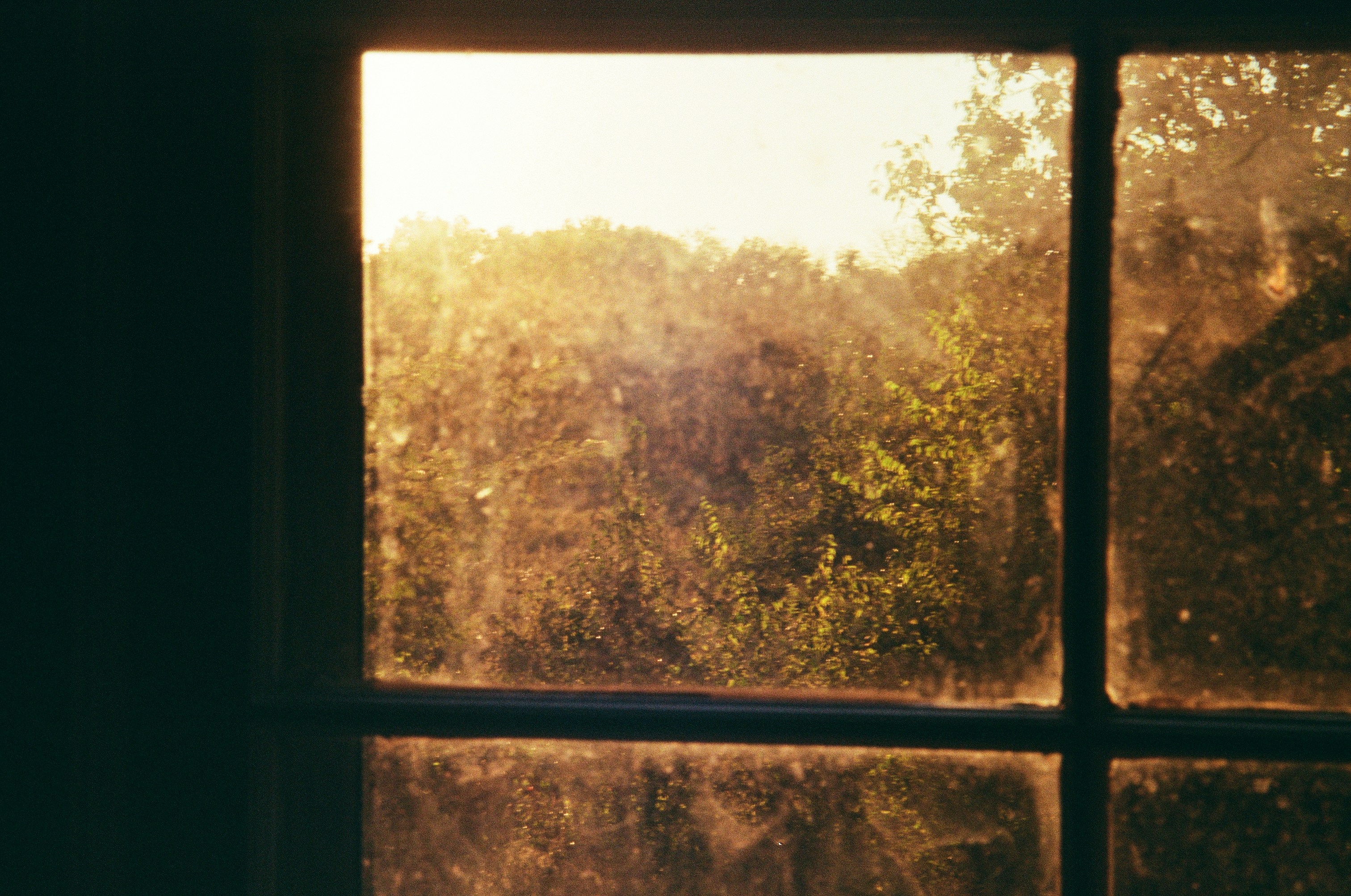 Golden sunlight streams through a dusty window pane.