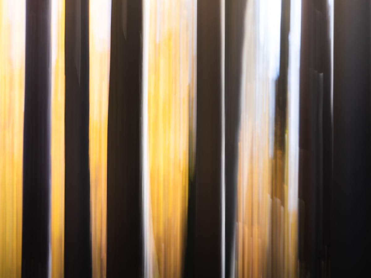 Murmures de Lumiere 3