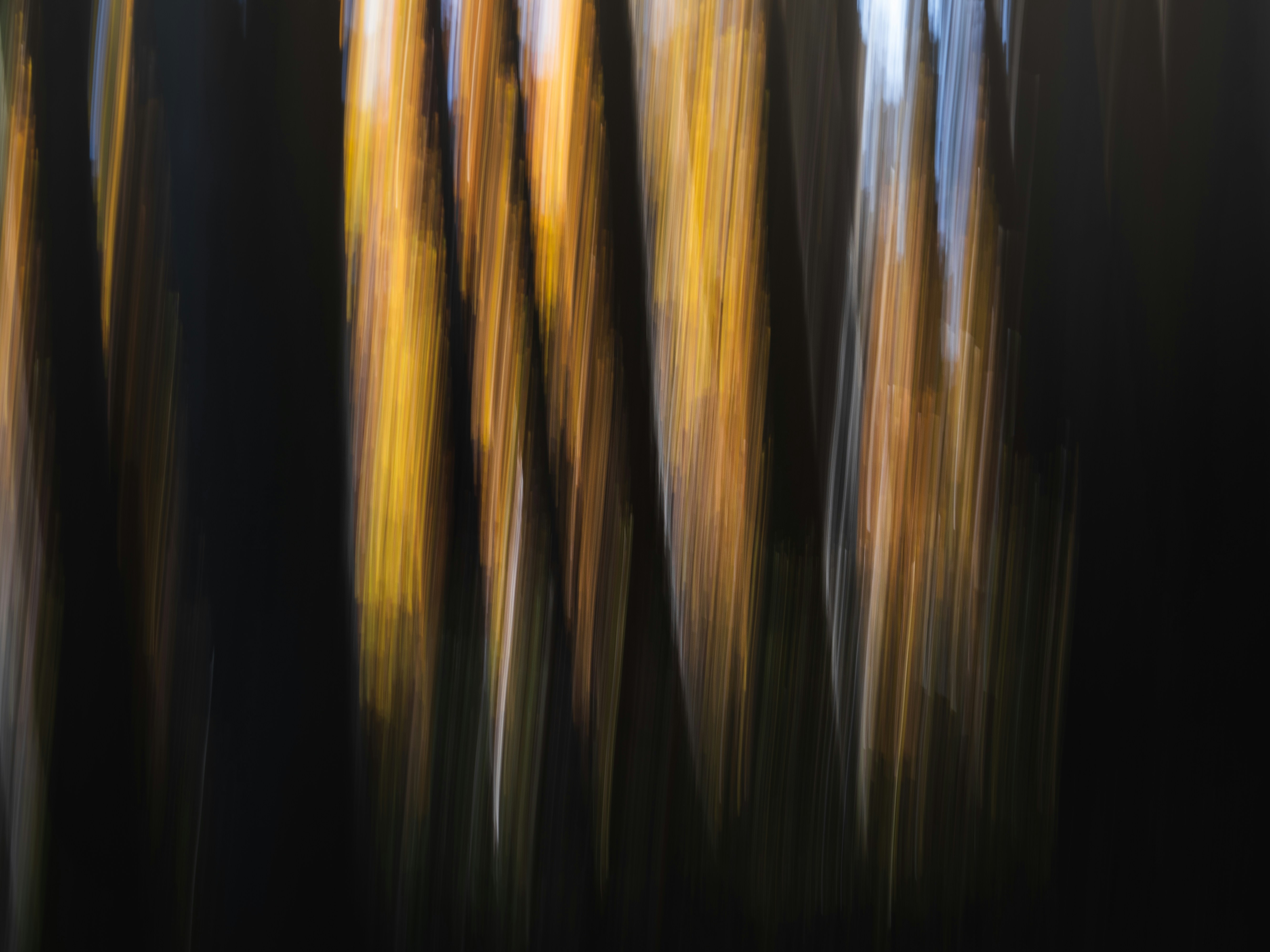 Abstract vertical streaks of yellow and white light.