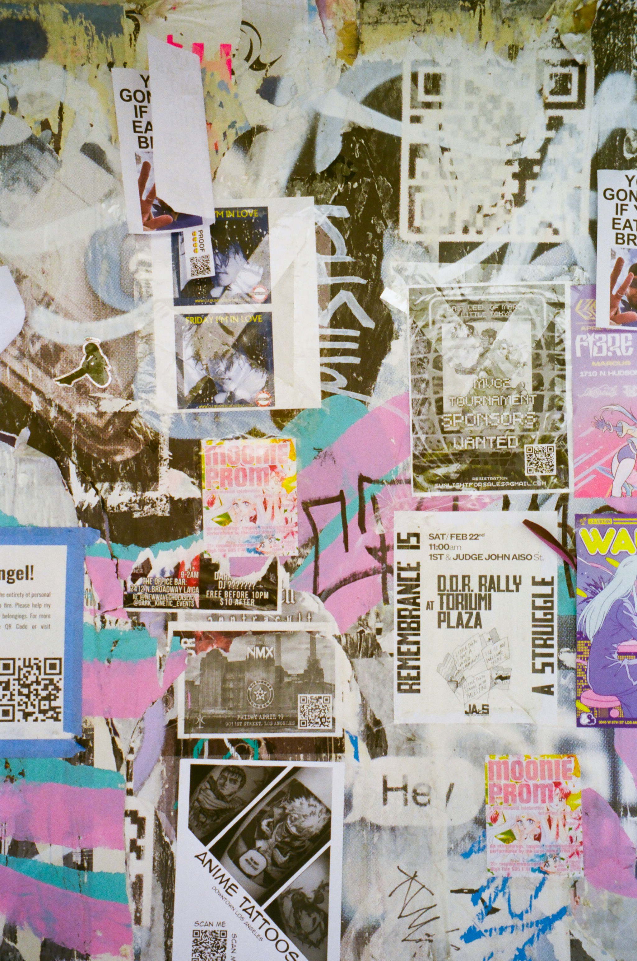 Photo by thediverdan