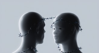 Two mannequins connected by barbed wire