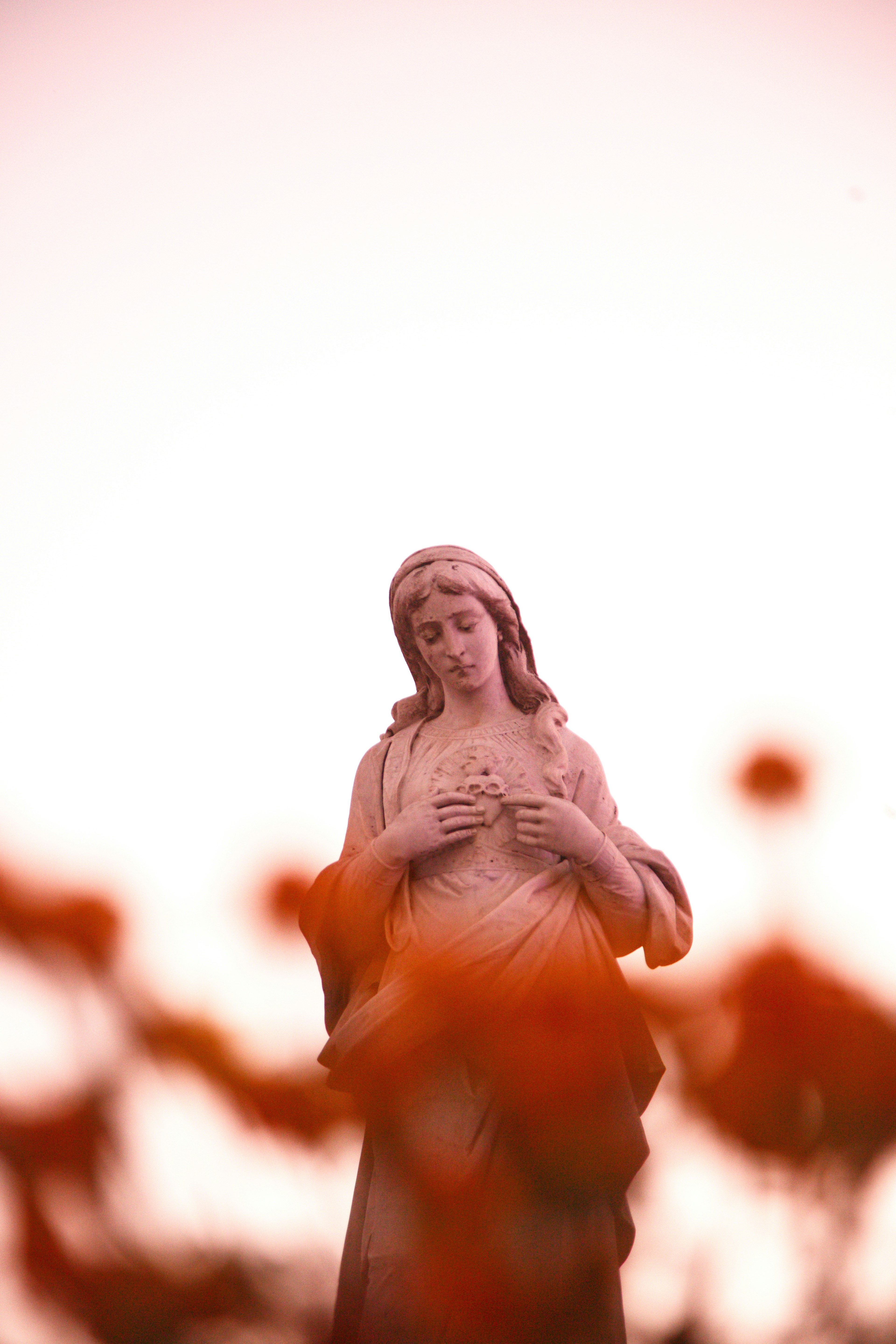 Photo by leonardodbi