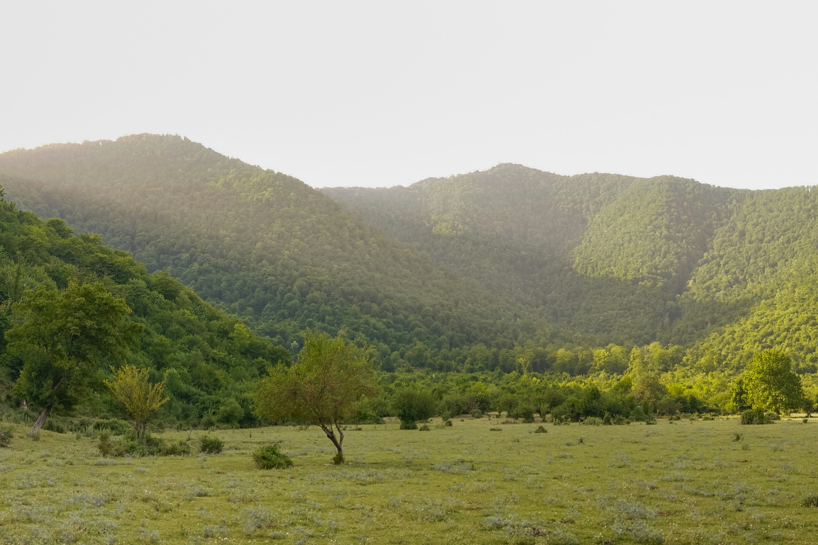 Photo by zulfugarkarimov