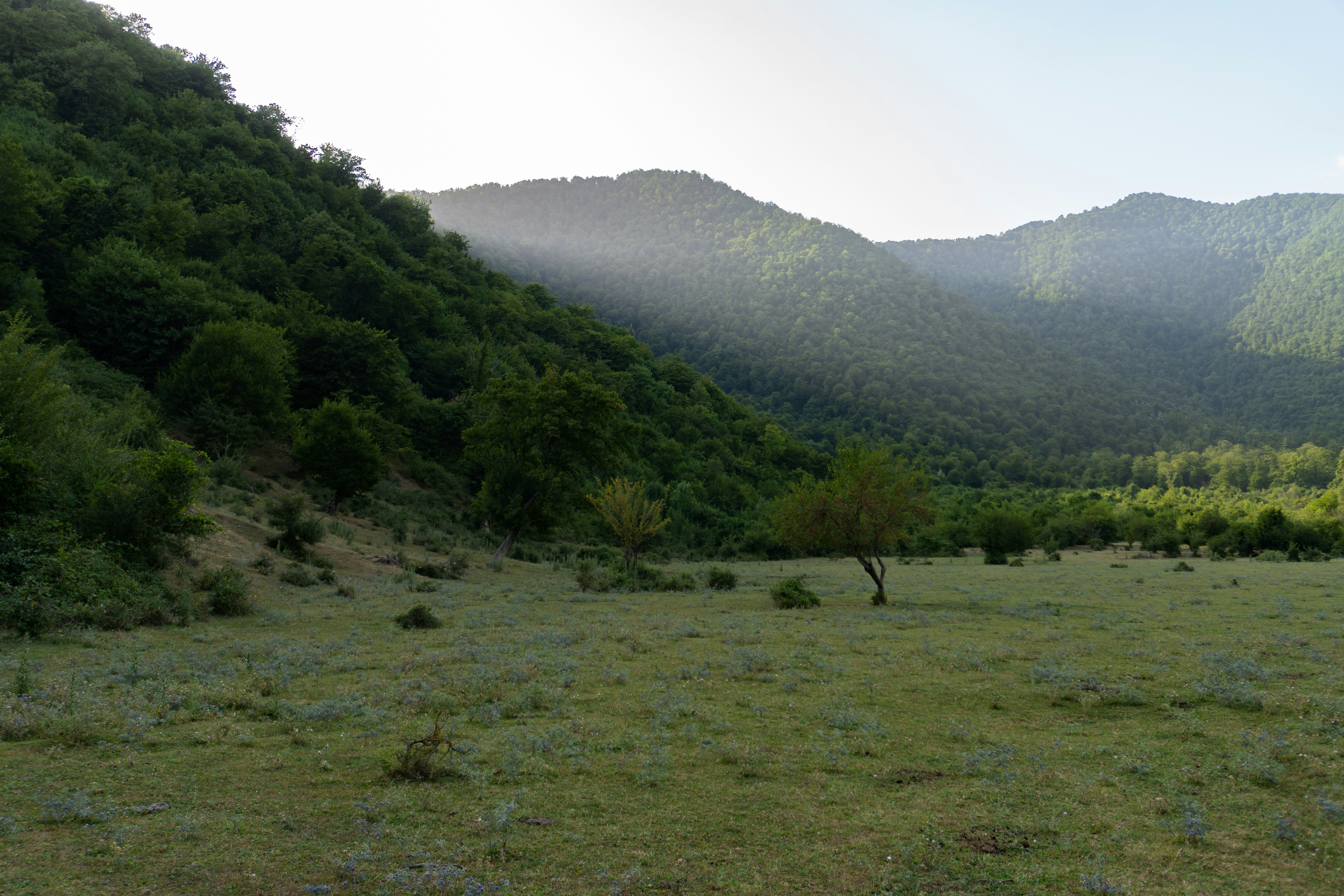 Photo by zulfugarkarimov