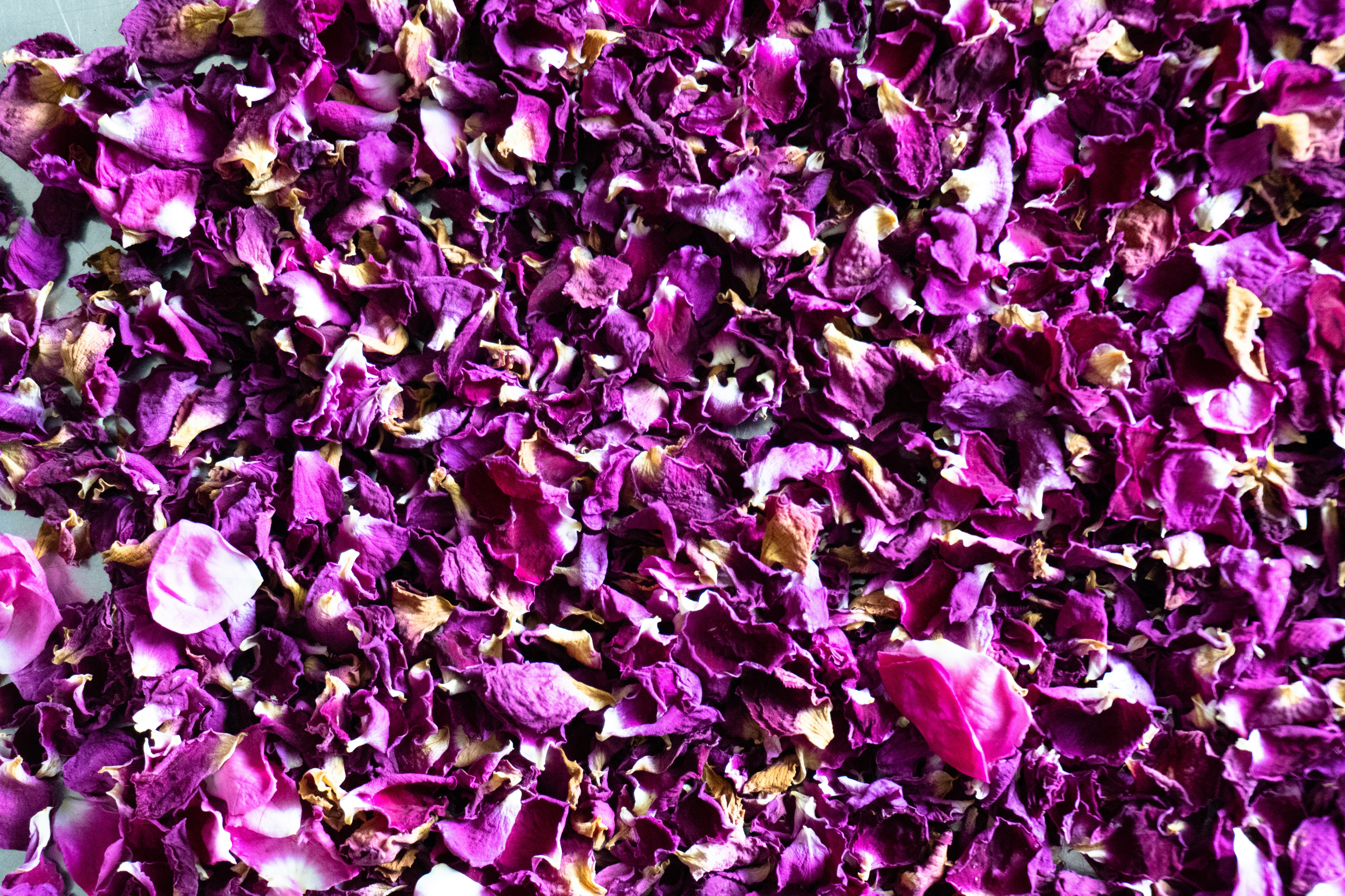 Dried rose petals for natural wellness