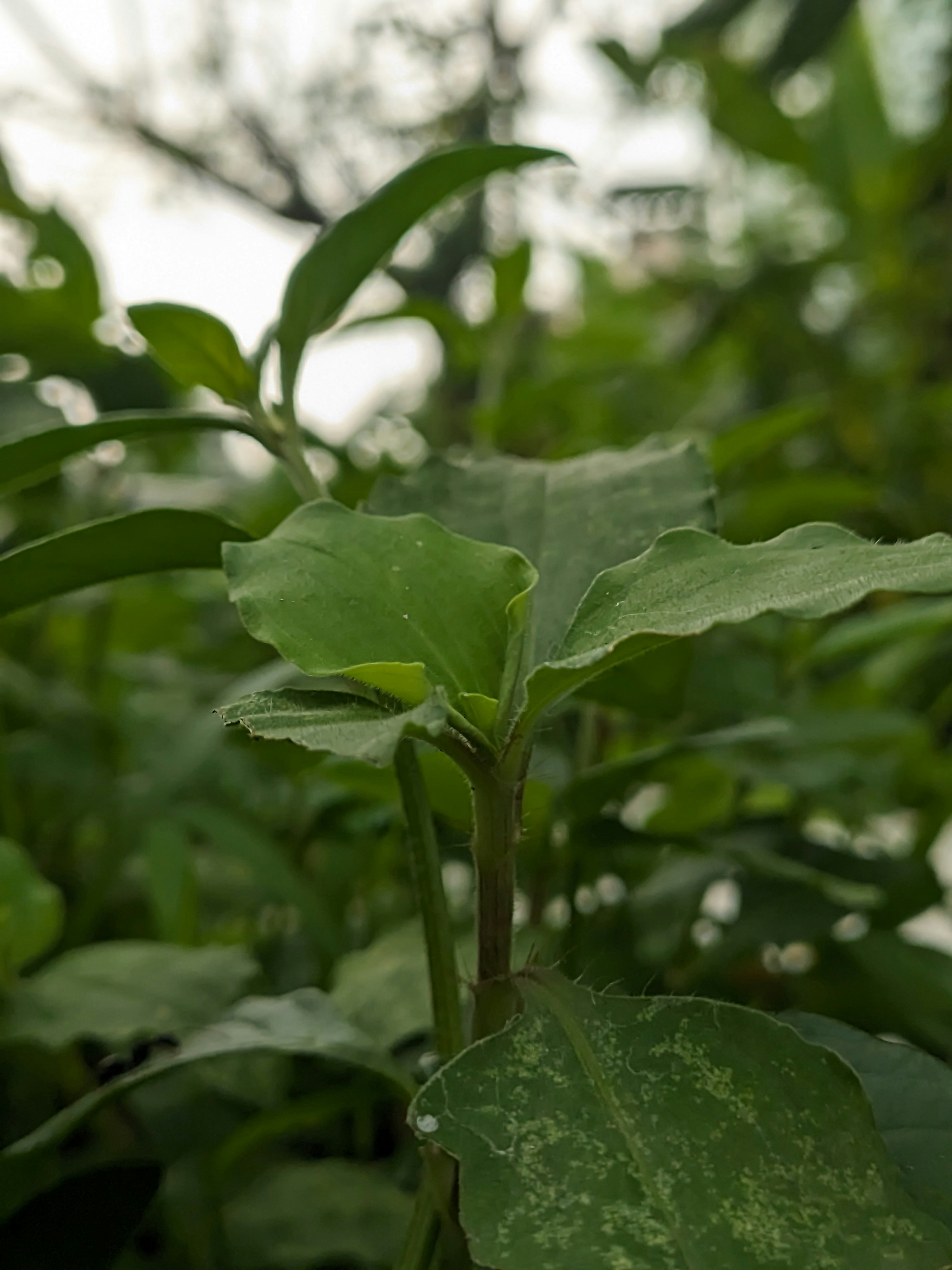 Photo by shotbywoliul