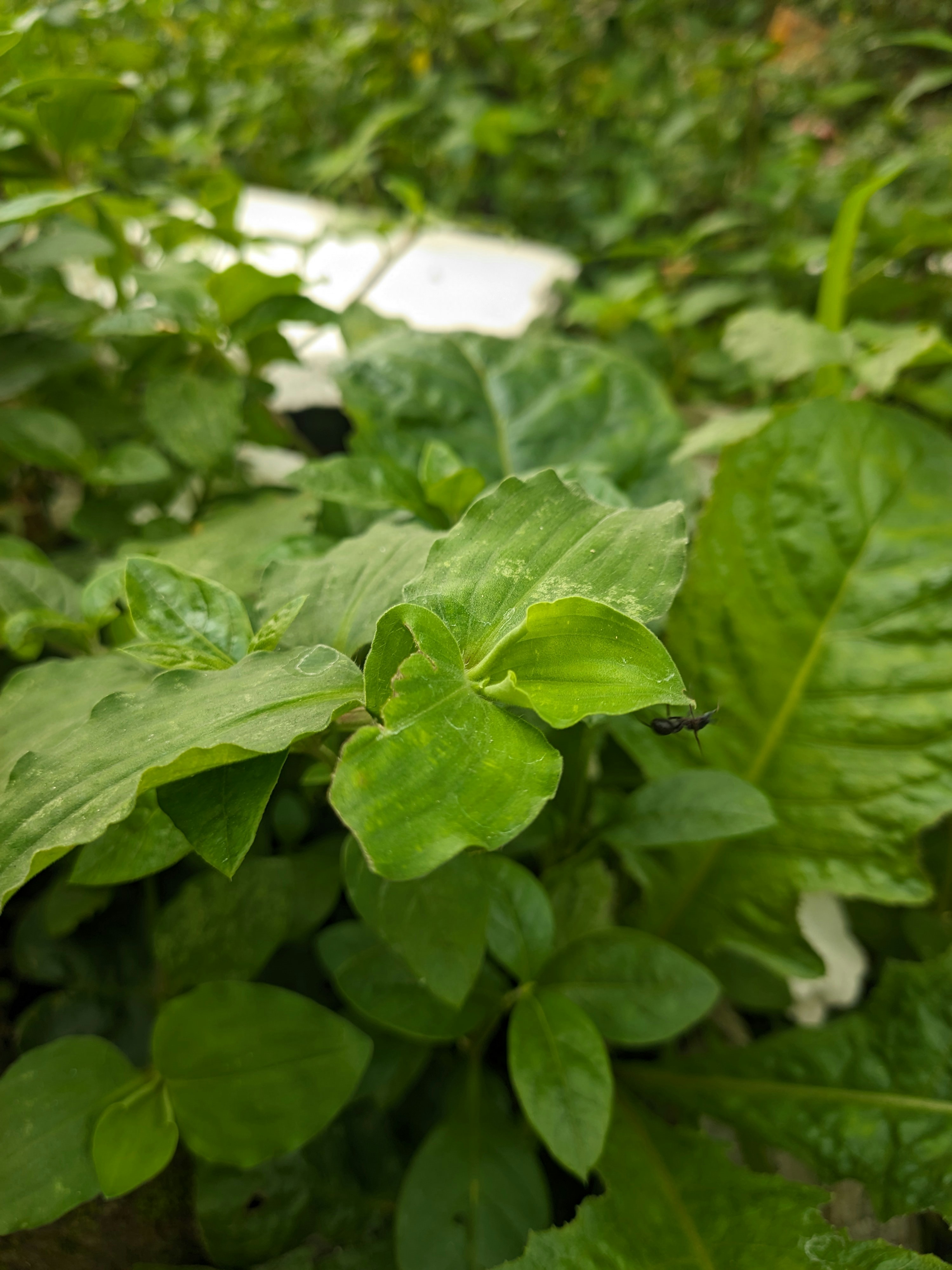 Photo by shotbywoliul