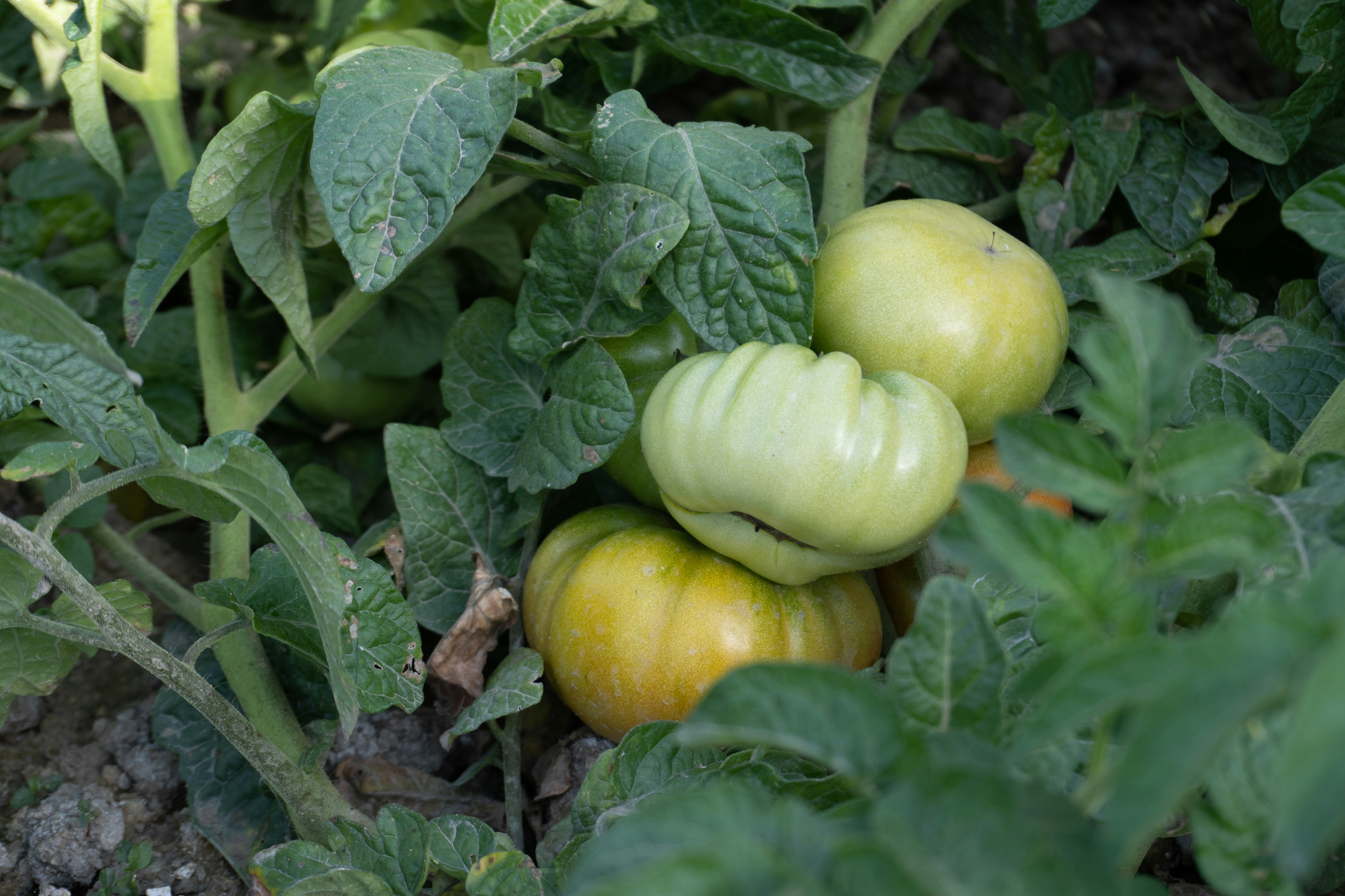 Photo by zulfugarkarimov