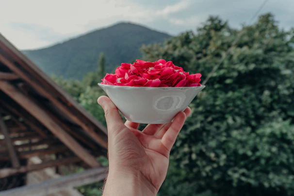 Hand holding bowl of red rose petals outdoors.