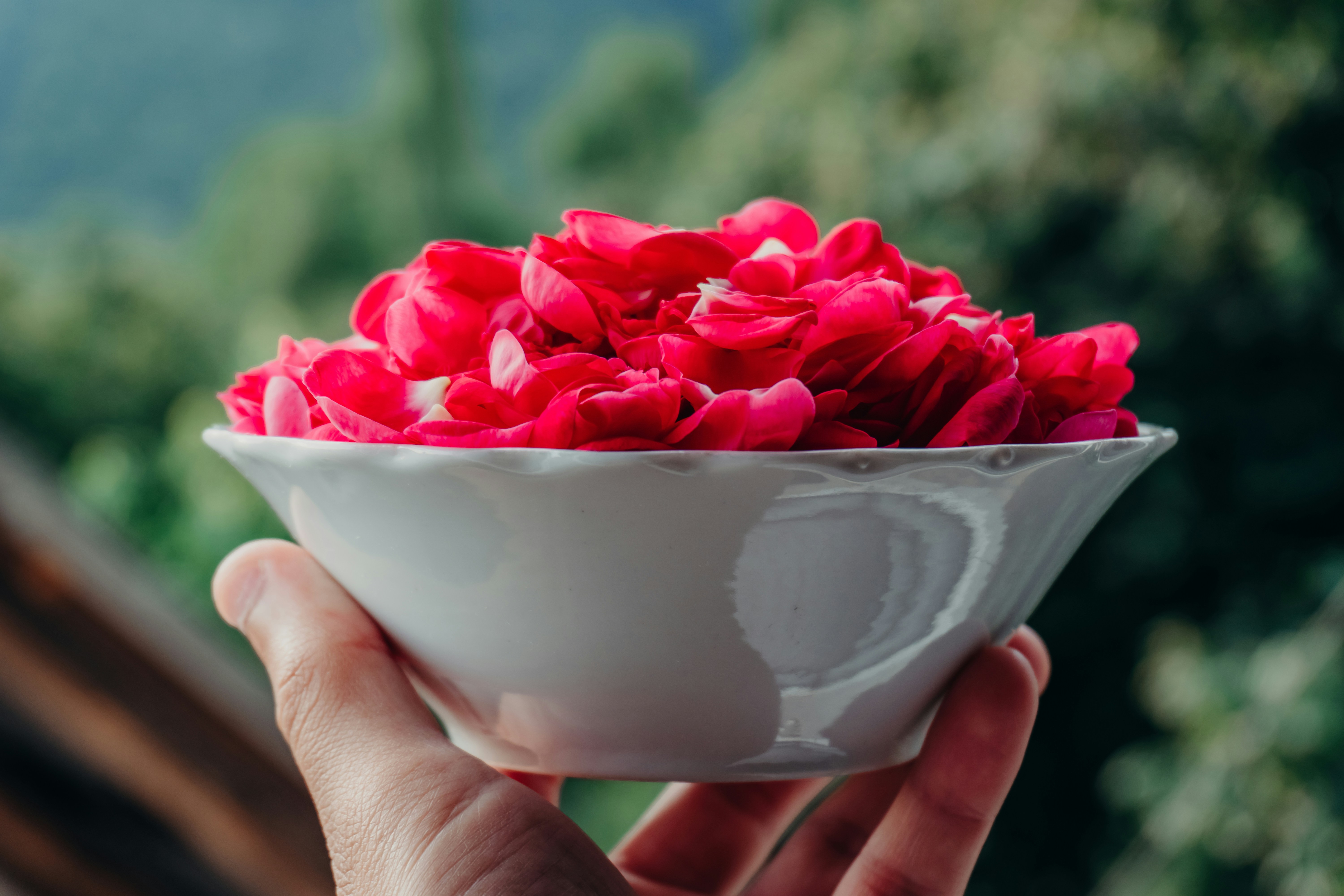 Bowl of fresh ingredients