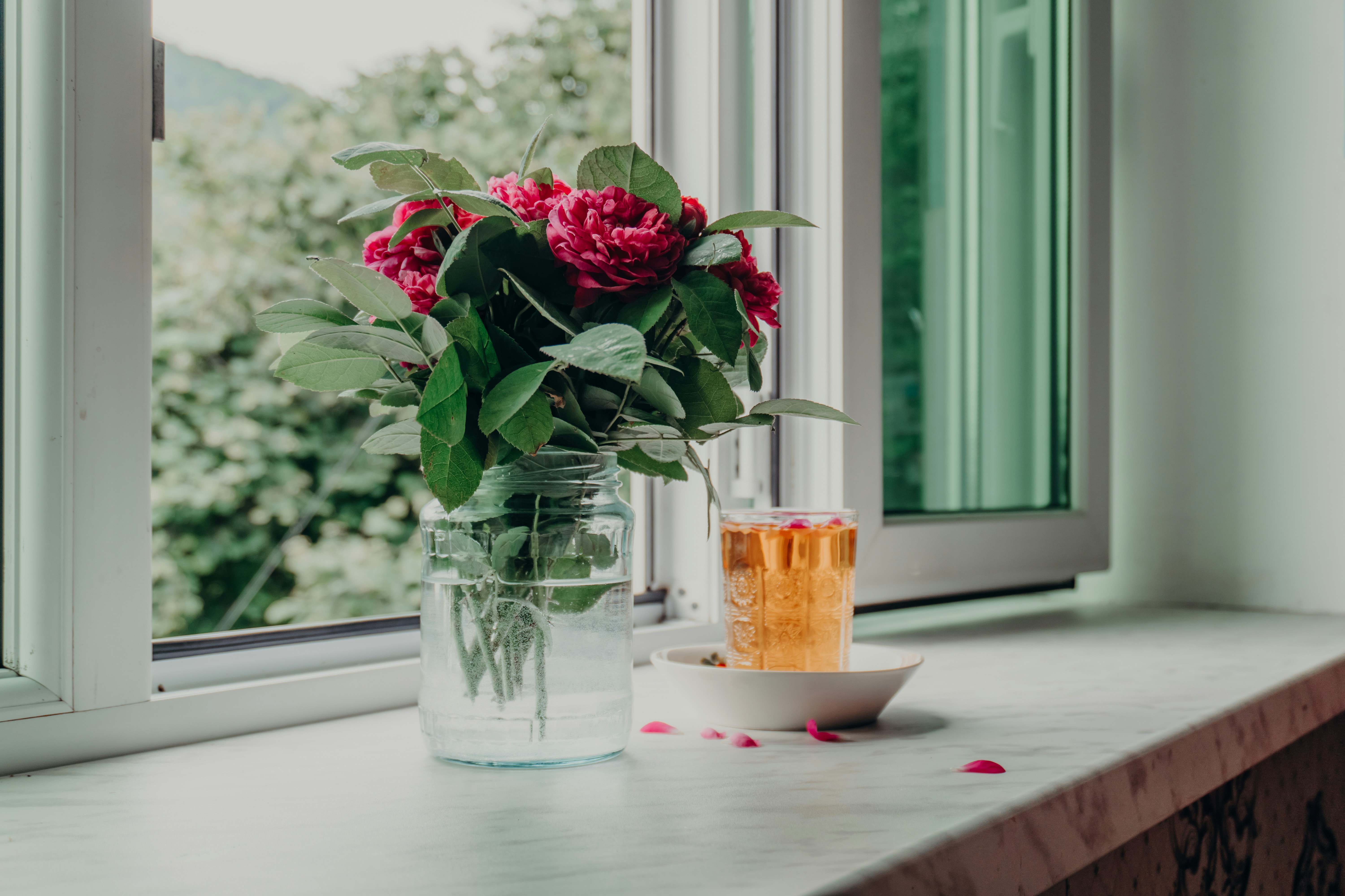 Pink flowers and drink on a windowsill