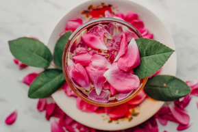 Pink rose petals in a glass bowl with leaves.
