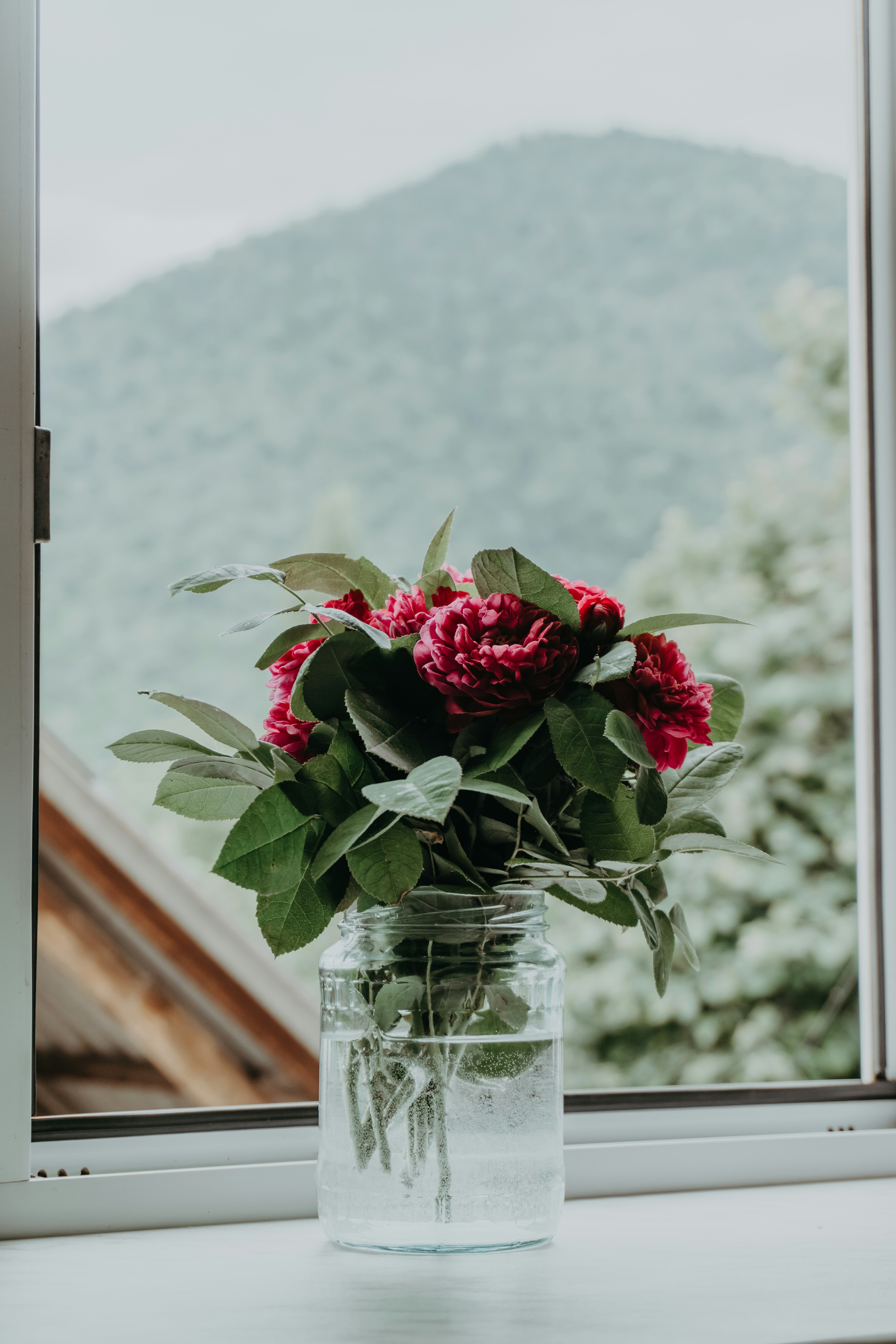 Photo by zulfugarkarimov