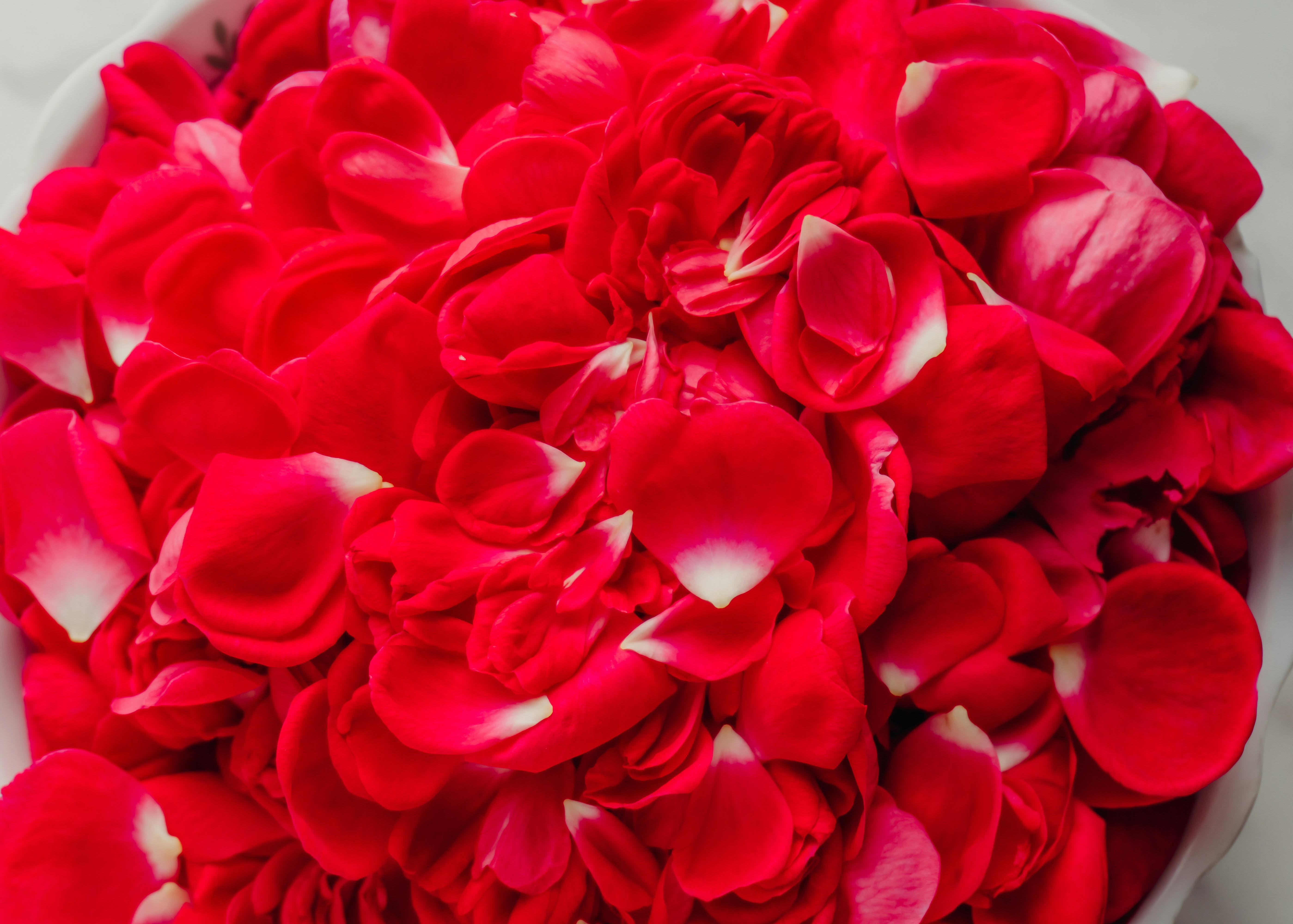 Photo by zulfugarkarimov