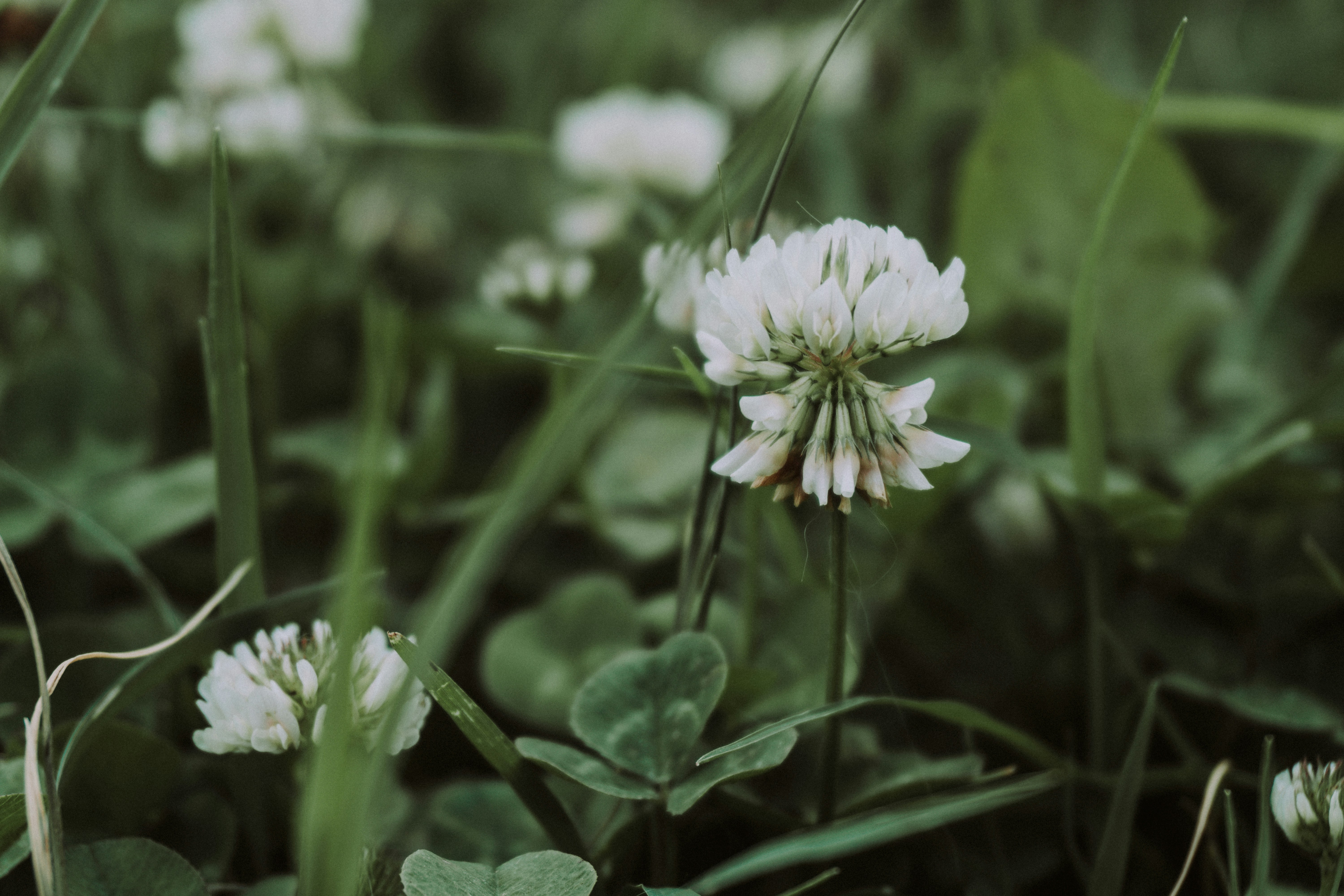 Photo by zulfugarkarimov