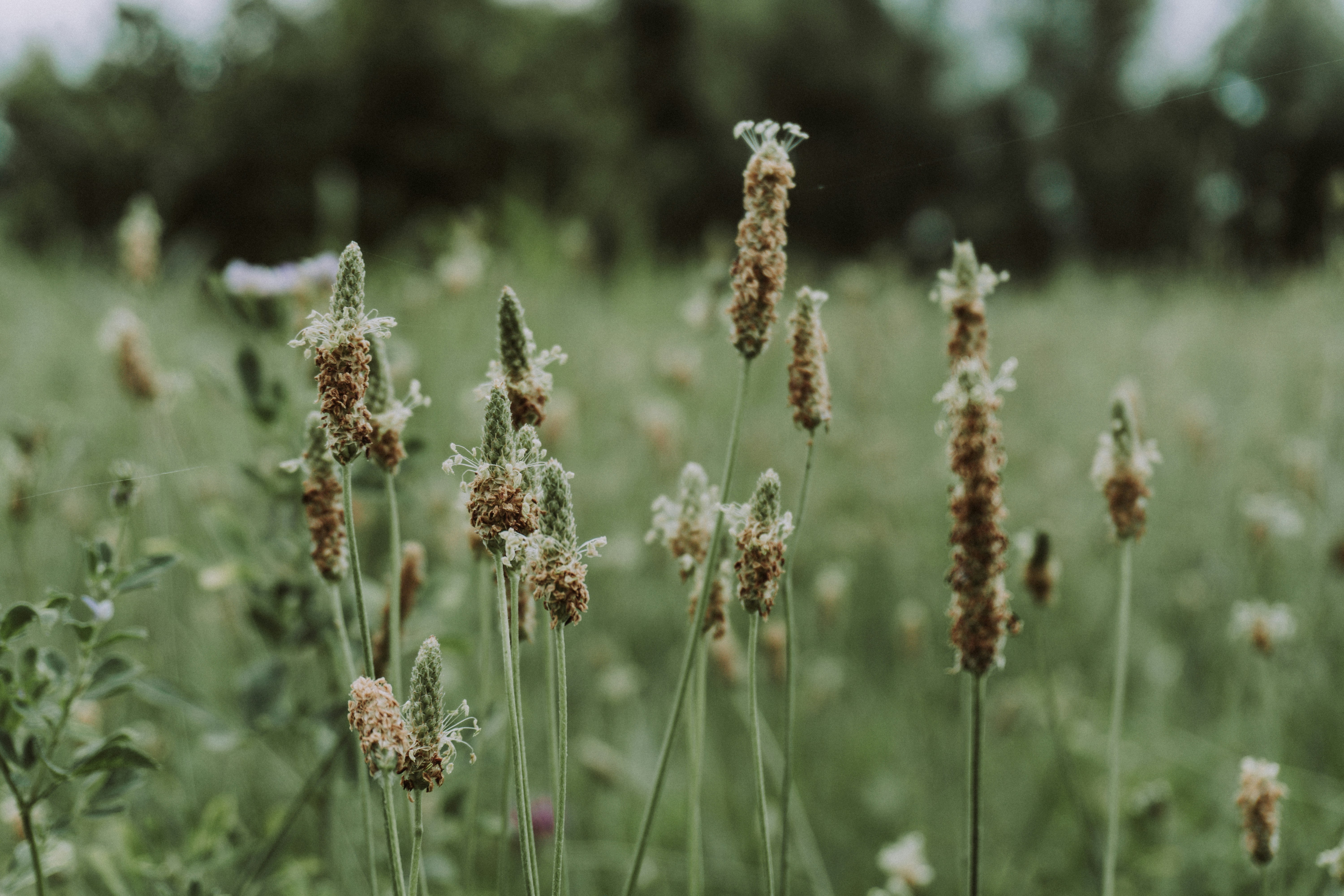 Photo by zulfugarkarimov