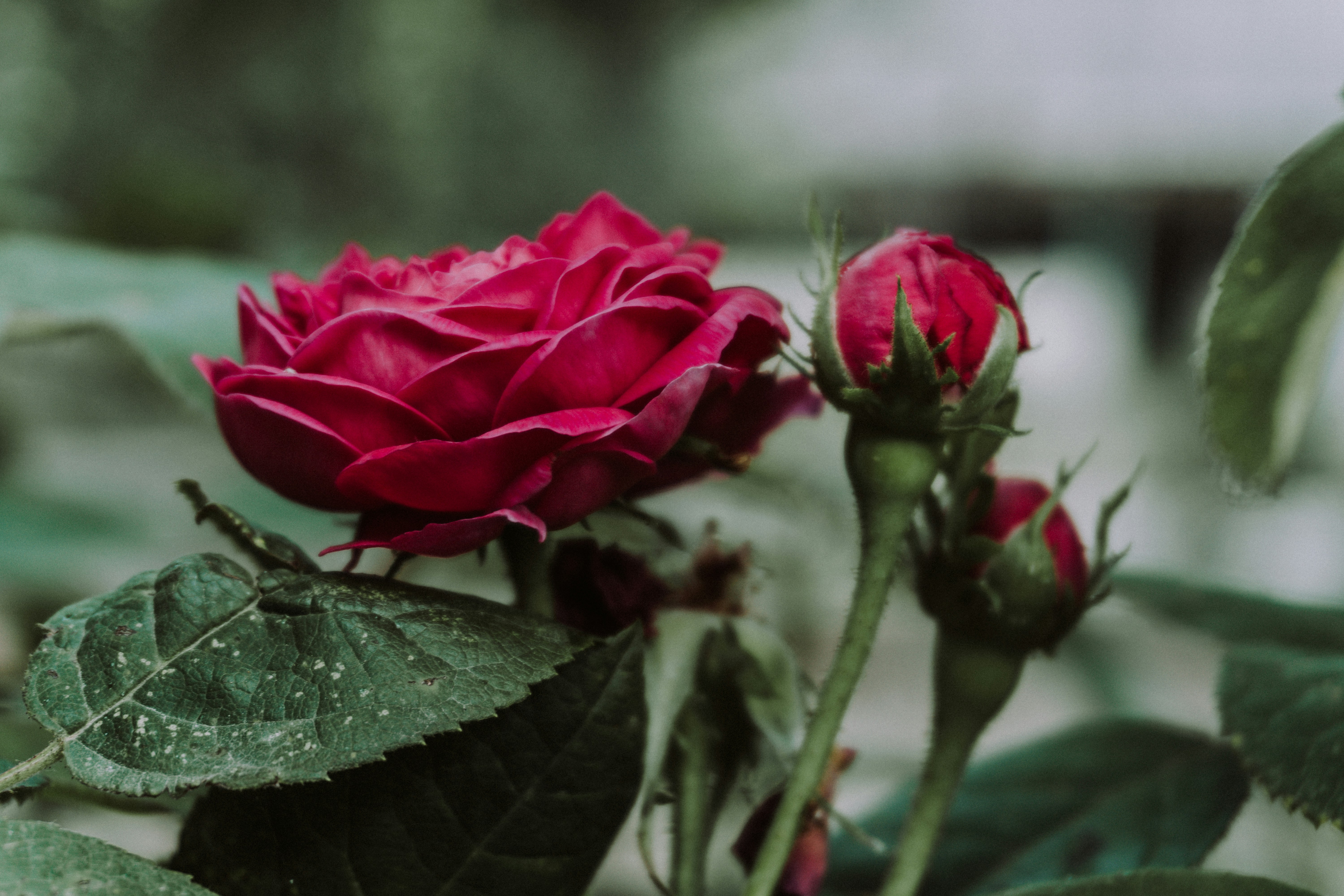 Photo by zulfugarkarimov