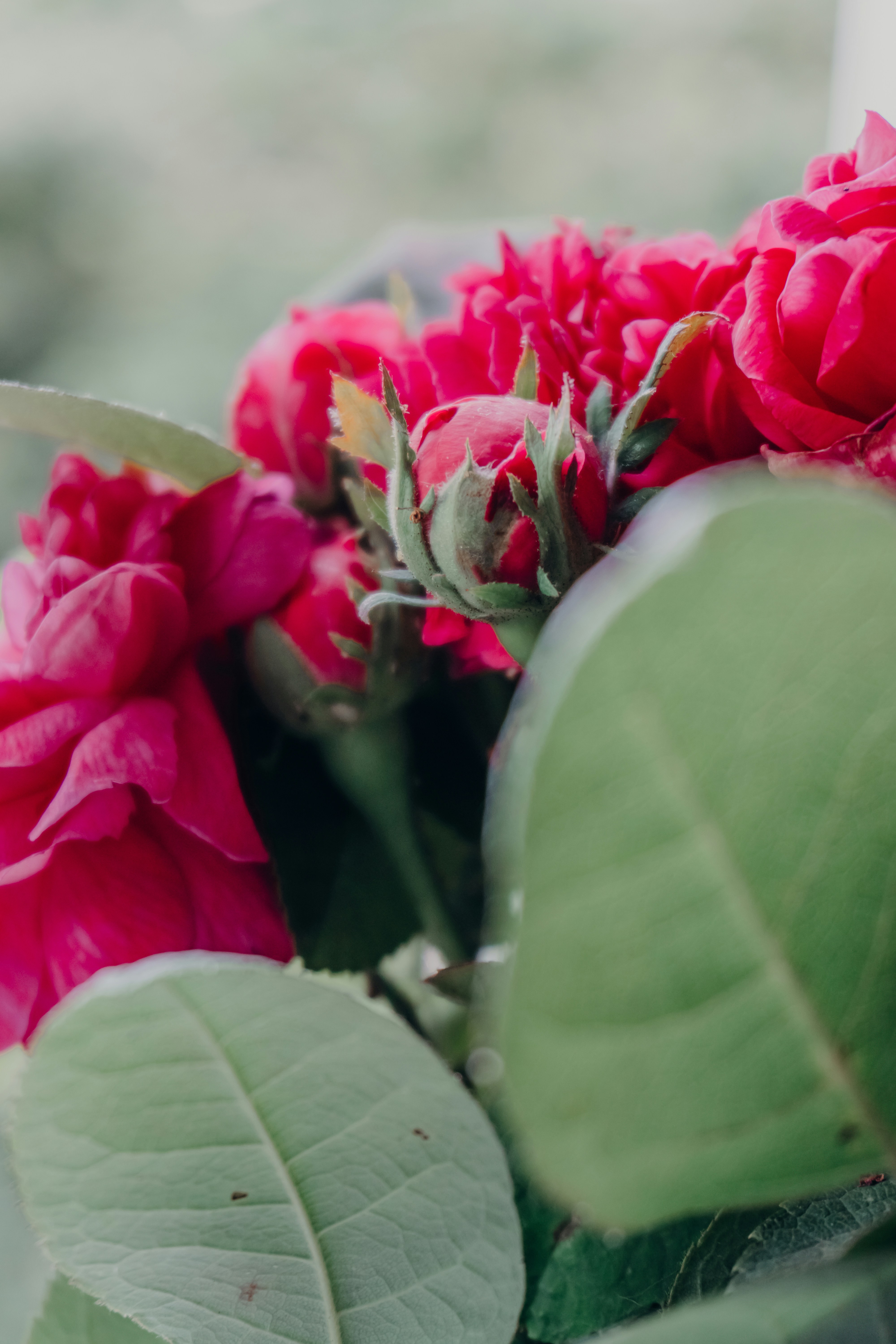 Photo by zulfugarkarimov