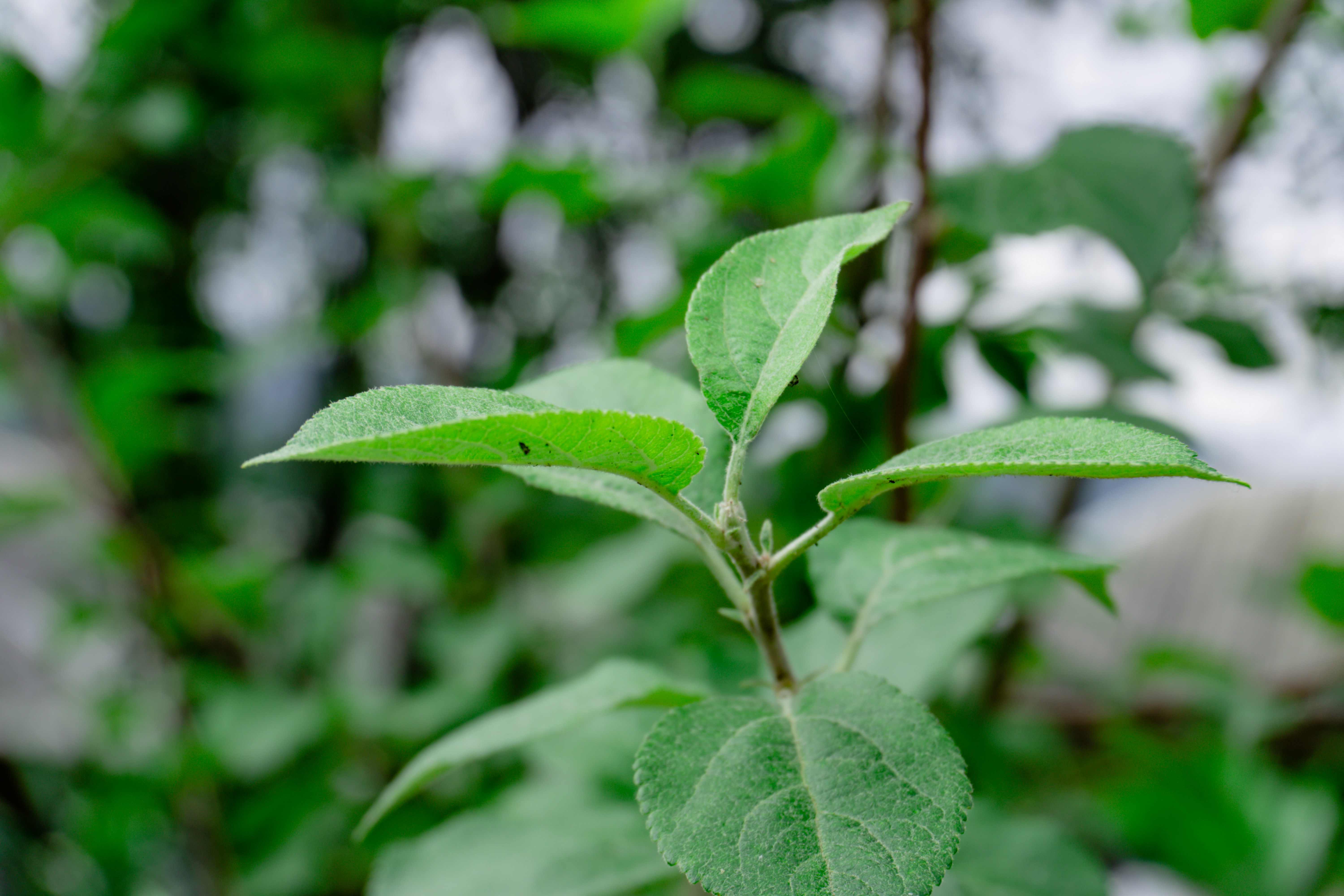 Photo by zulfugarkarimov