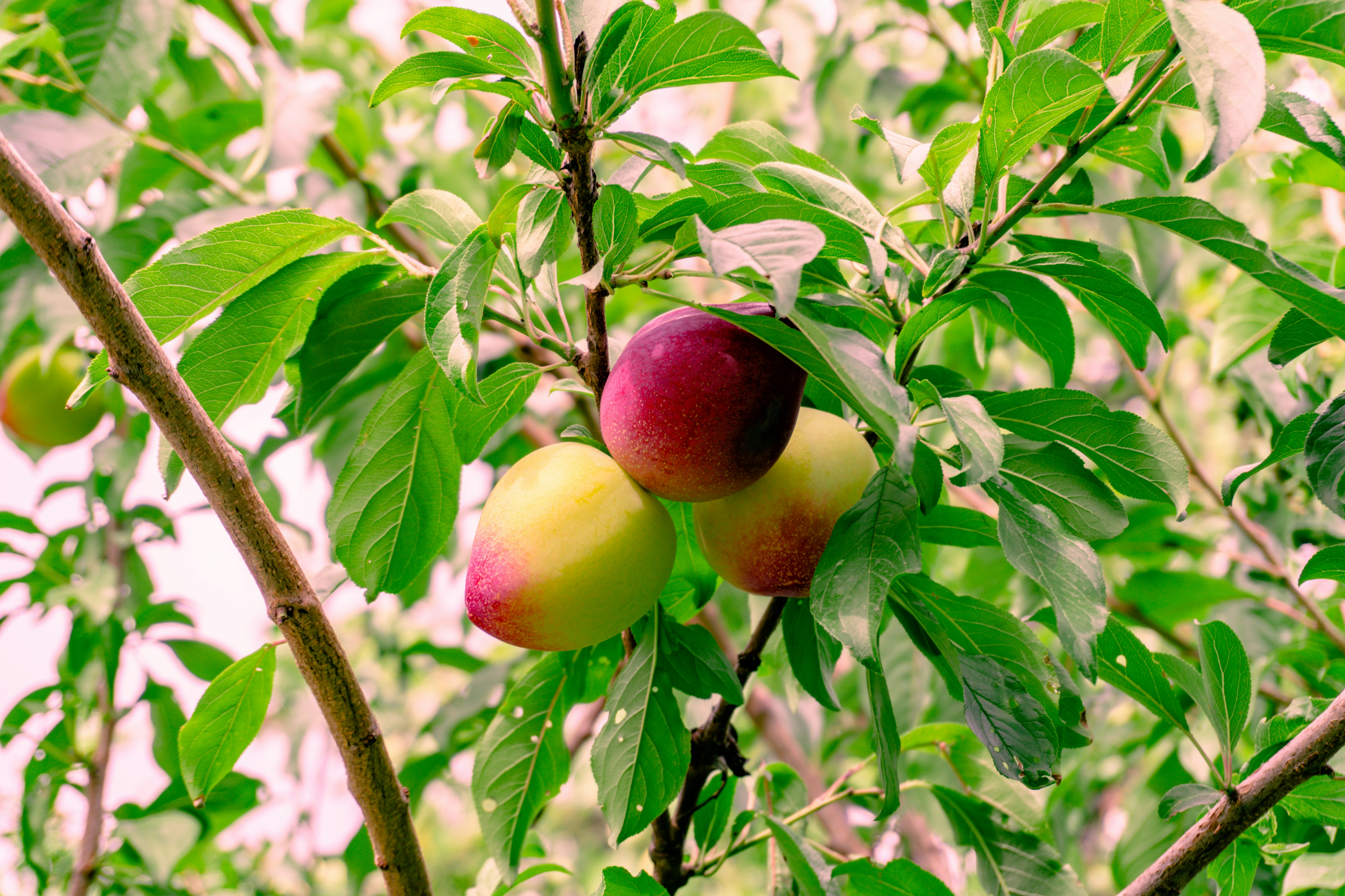 Photo by zulfugarkarimov