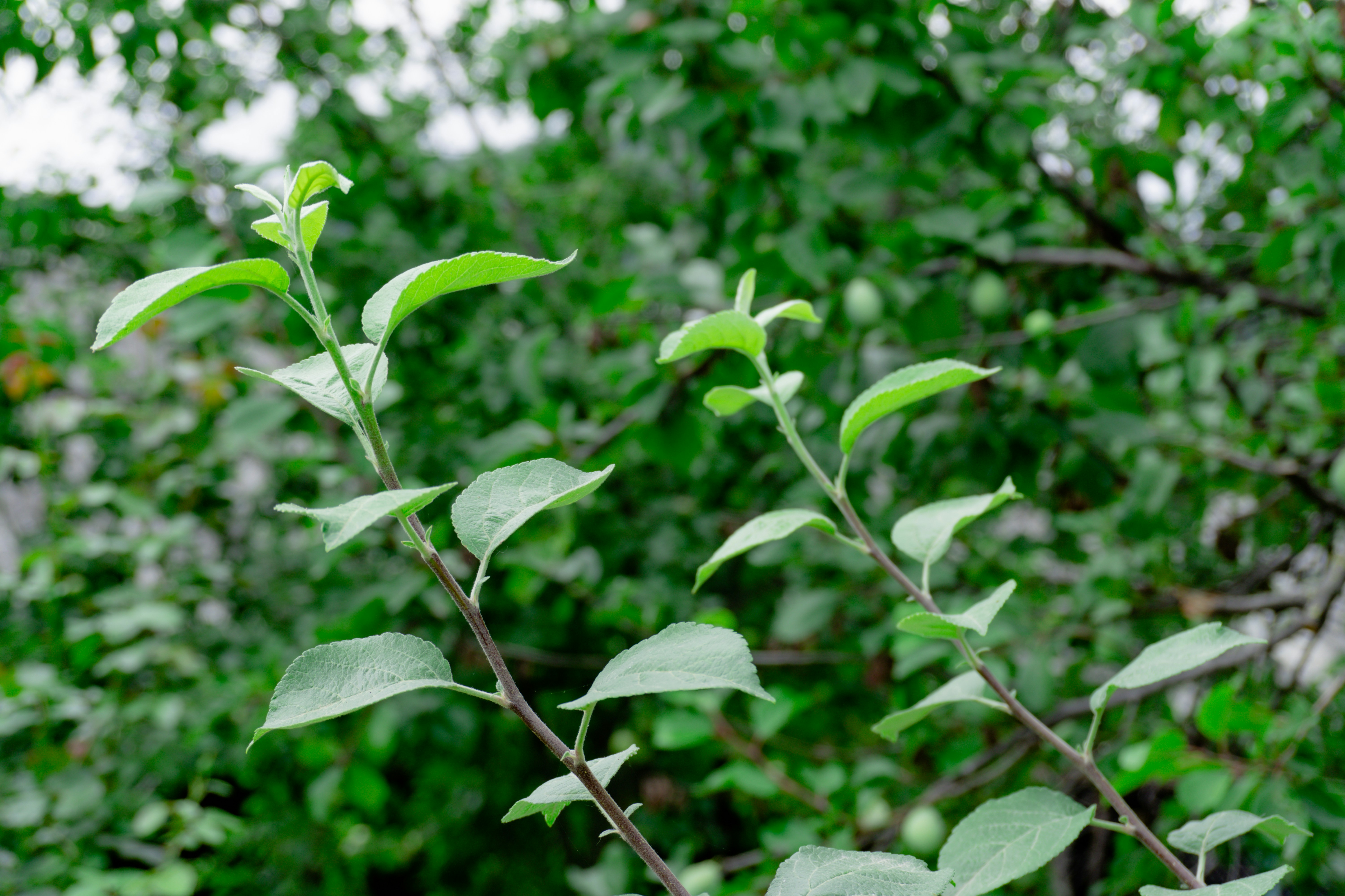 Photo by zulfugarkarimov