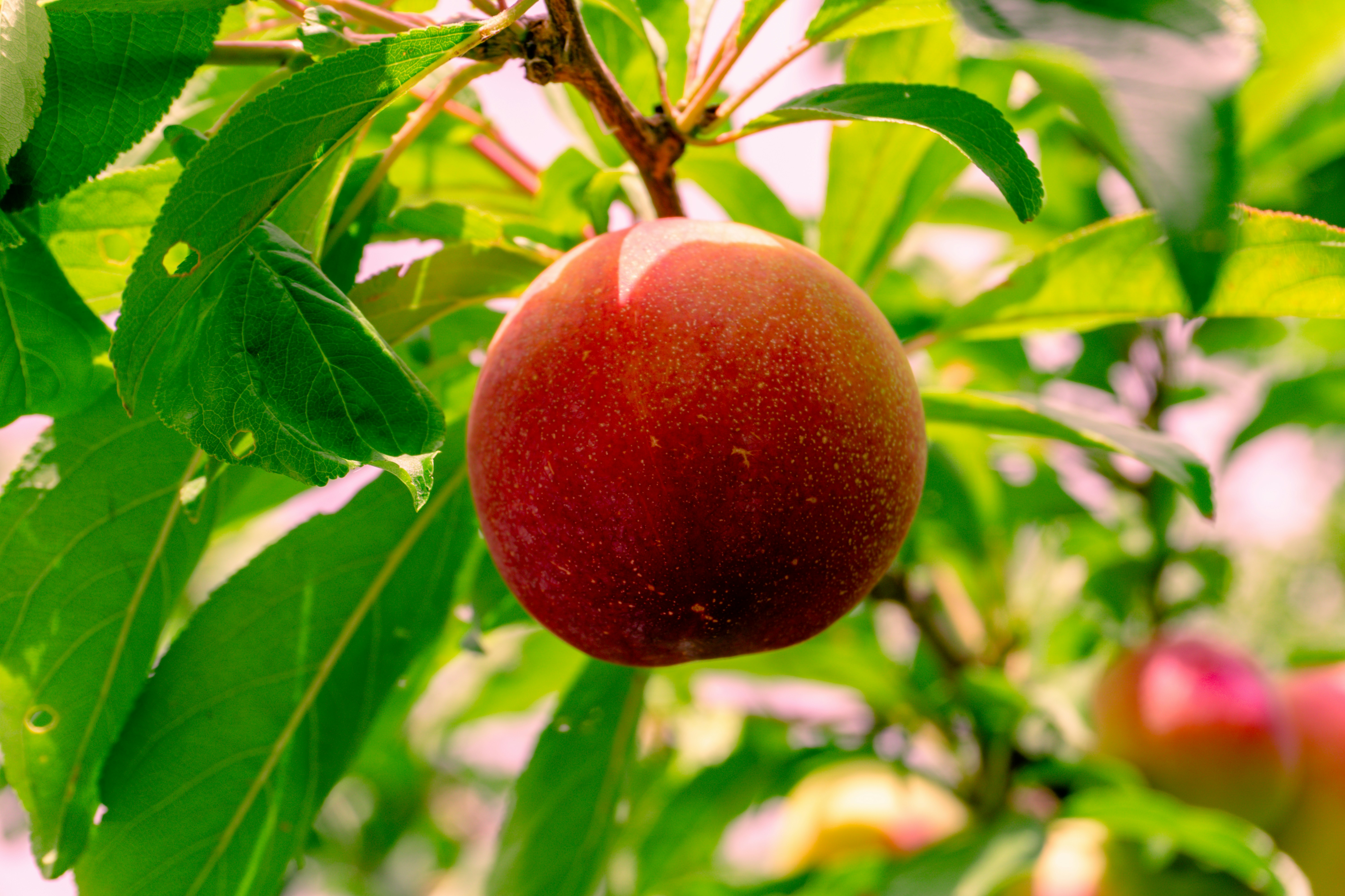 Photo by zulfugarkarimov