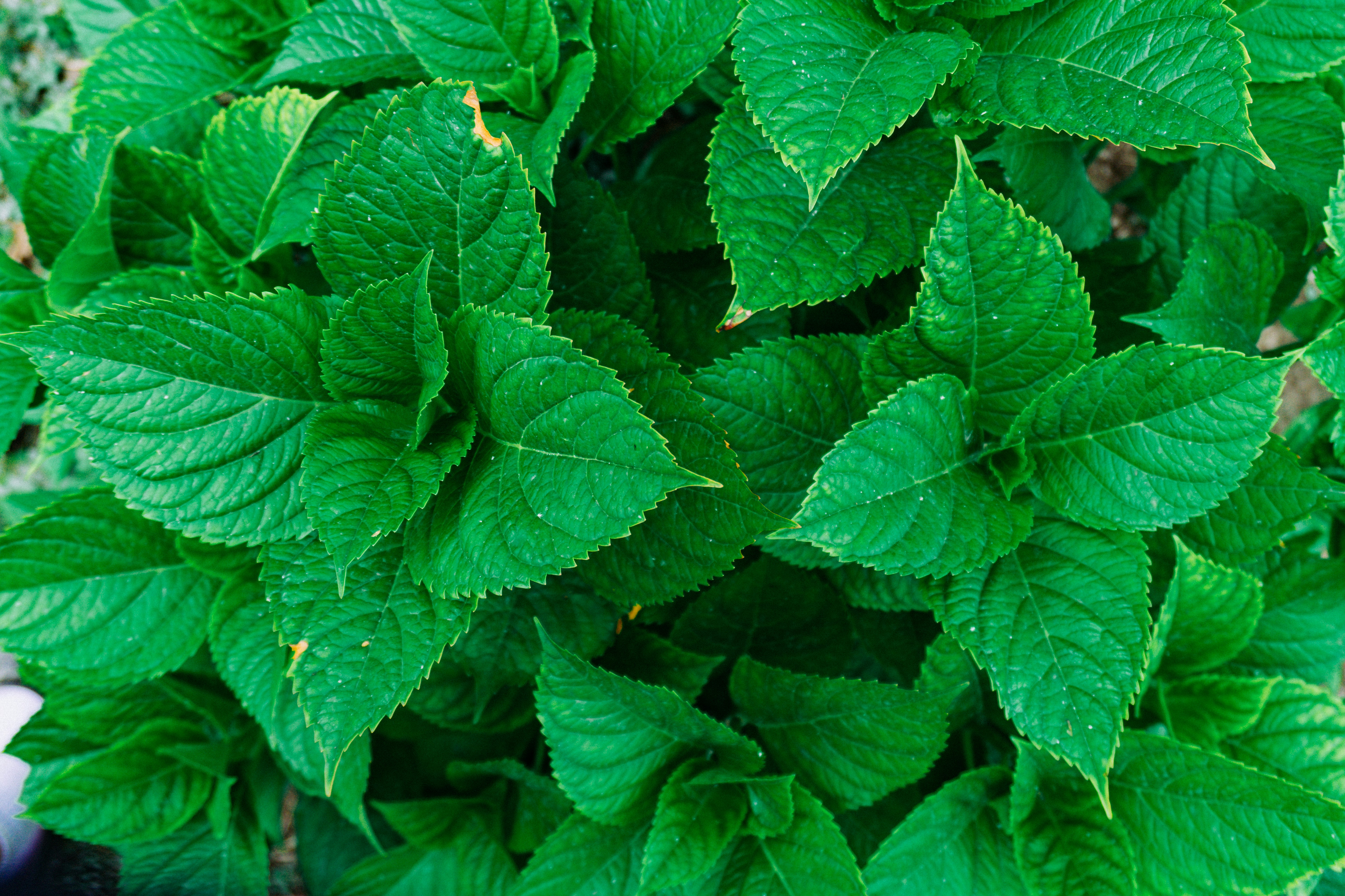 Photo by zulfugarkarimov